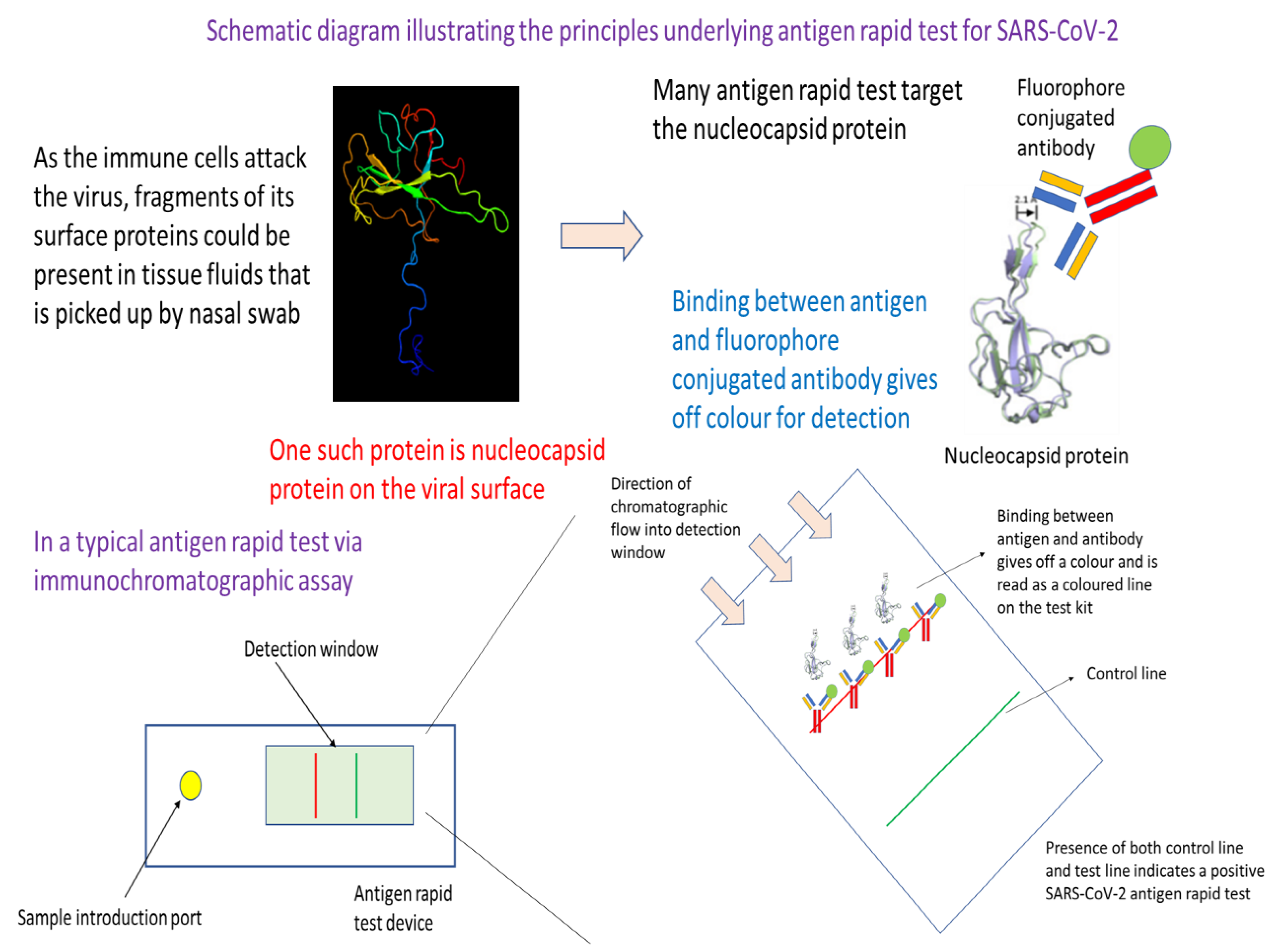 Preprints 72819 g003