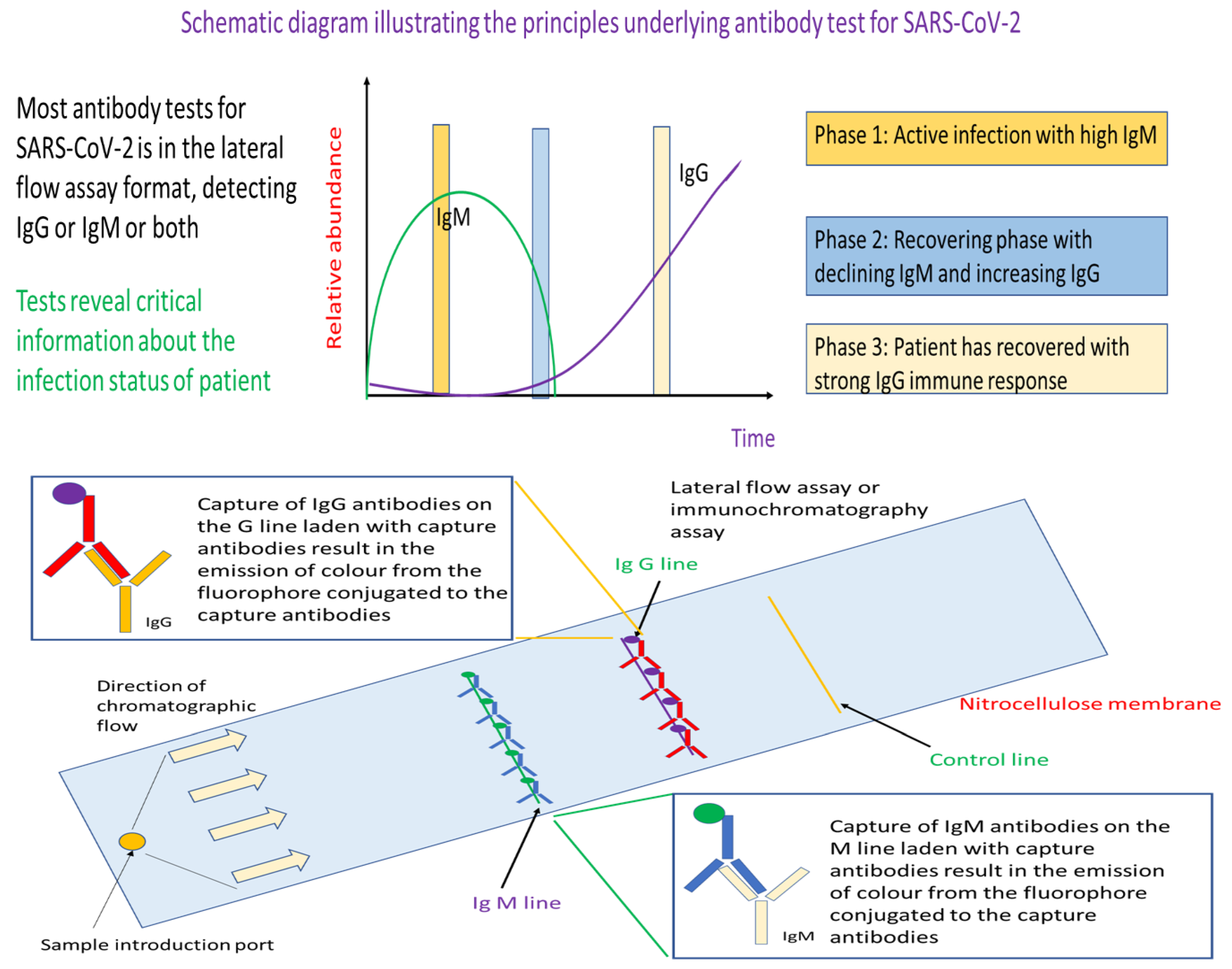 Preprints 72819 g004