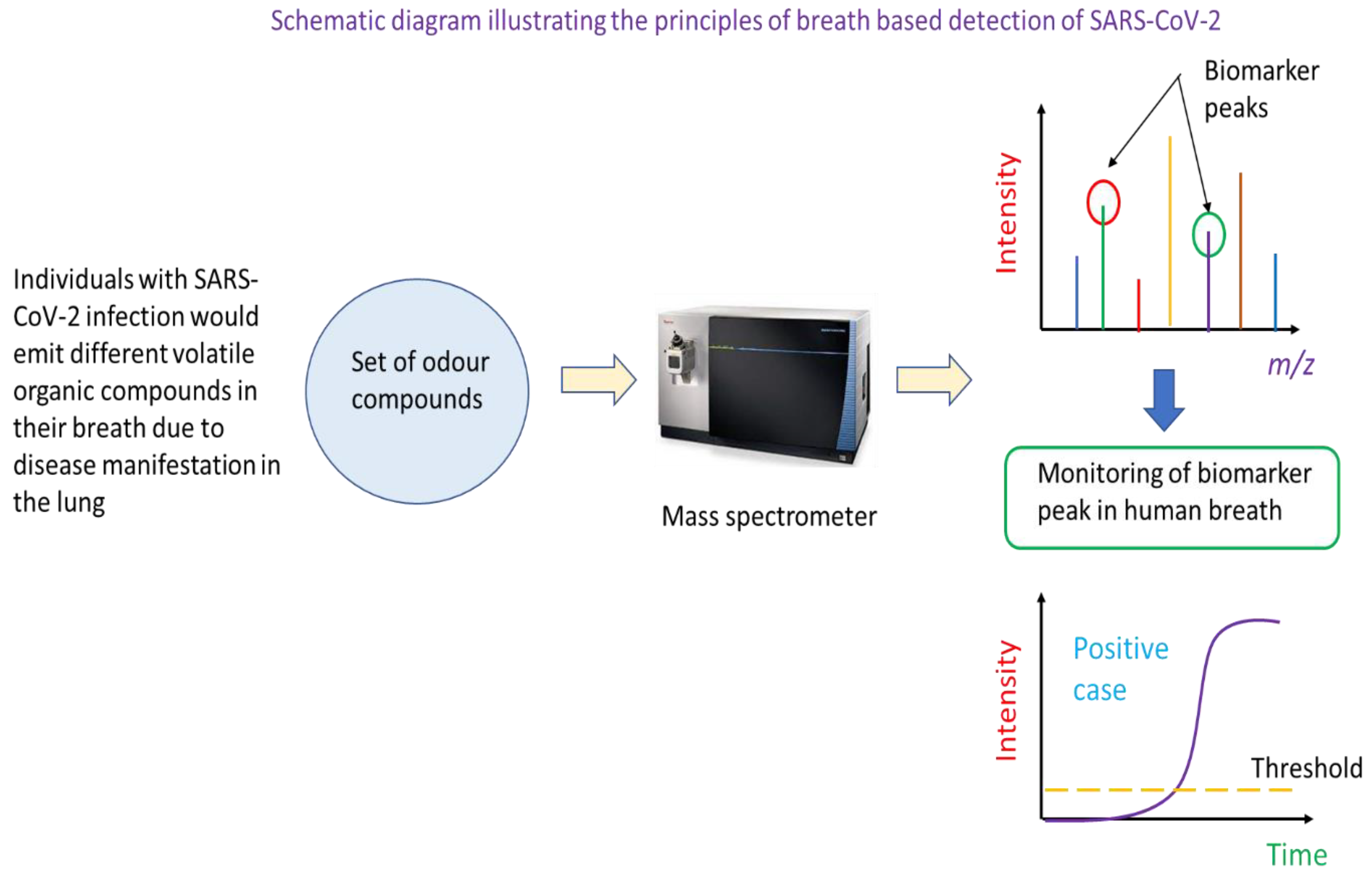 Preprints 72819 g005