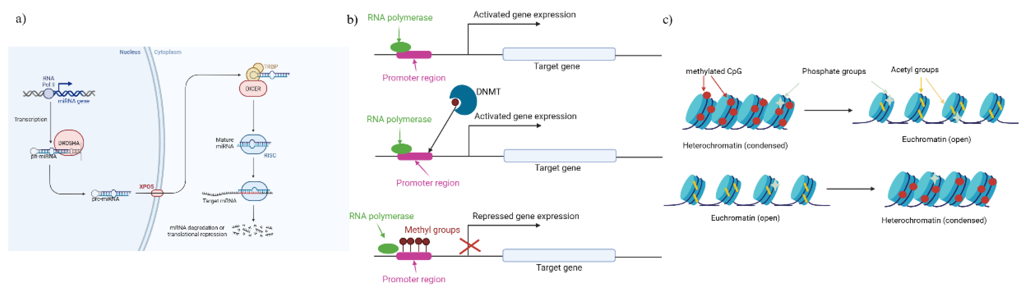 Preprints 162790 g002