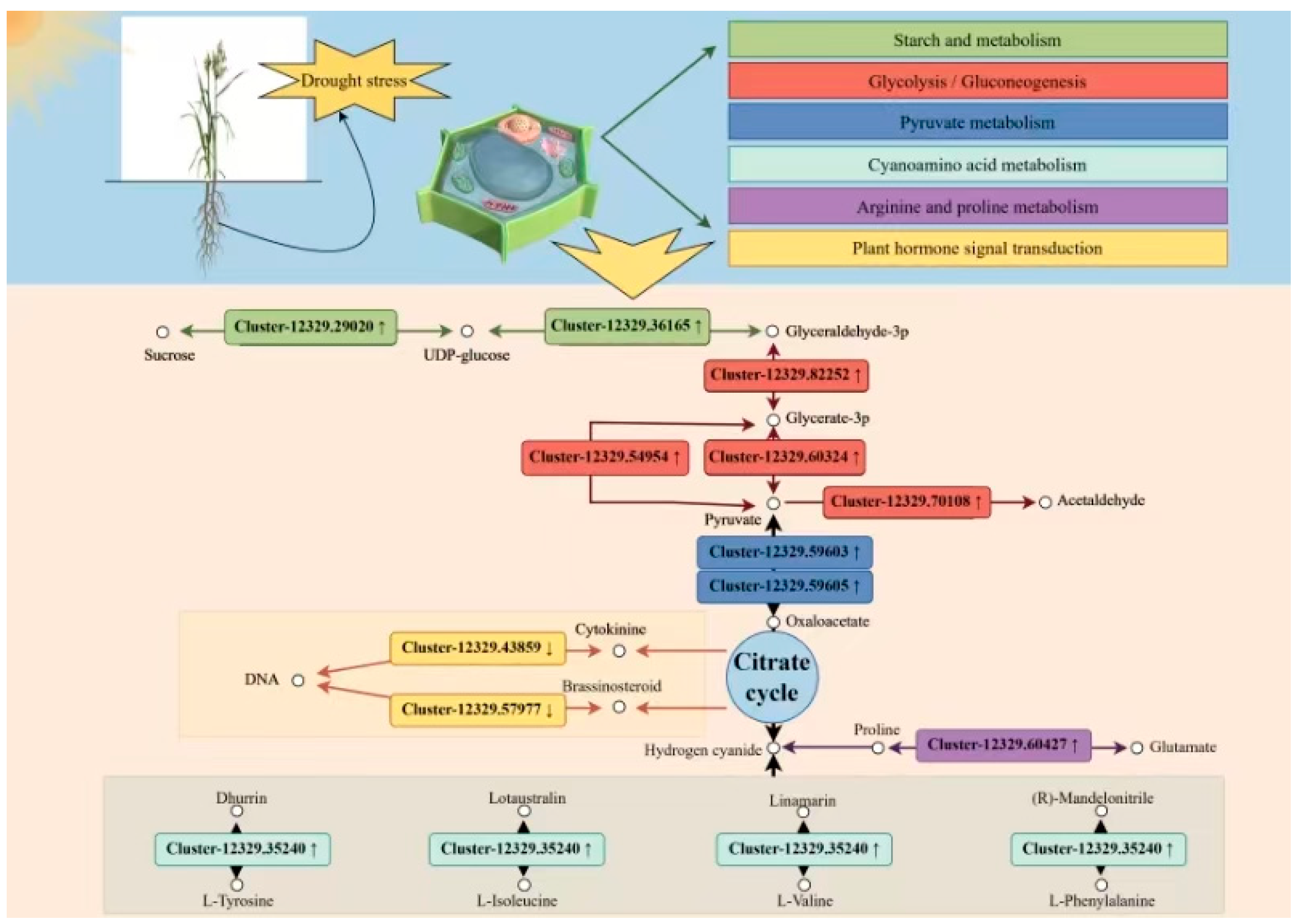 Preprints 146517 g019