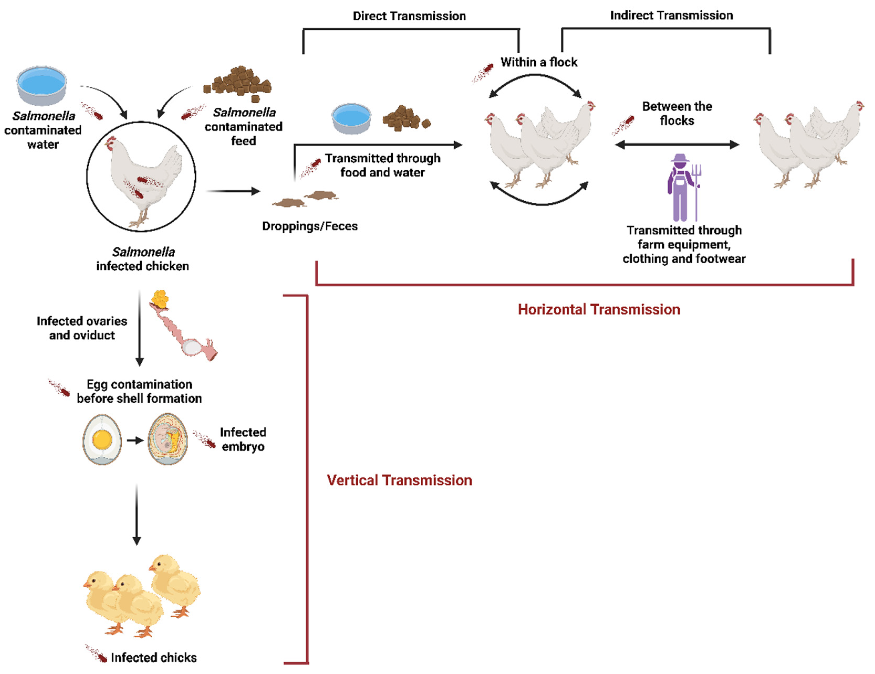 Preprints 140373 g001