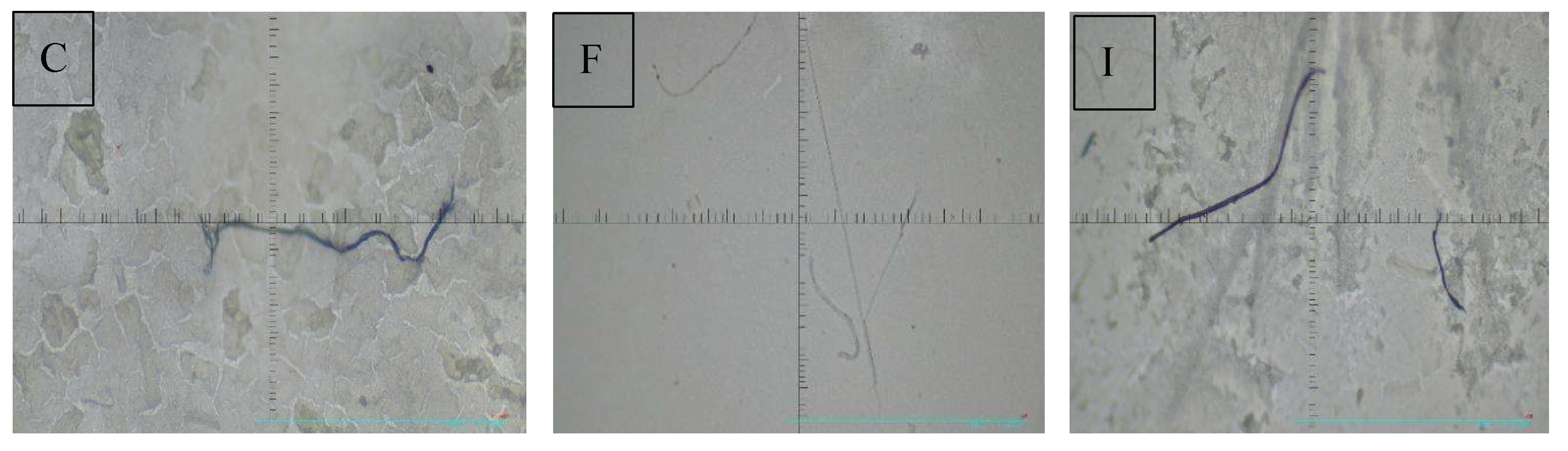 Preprints 212672 g003b