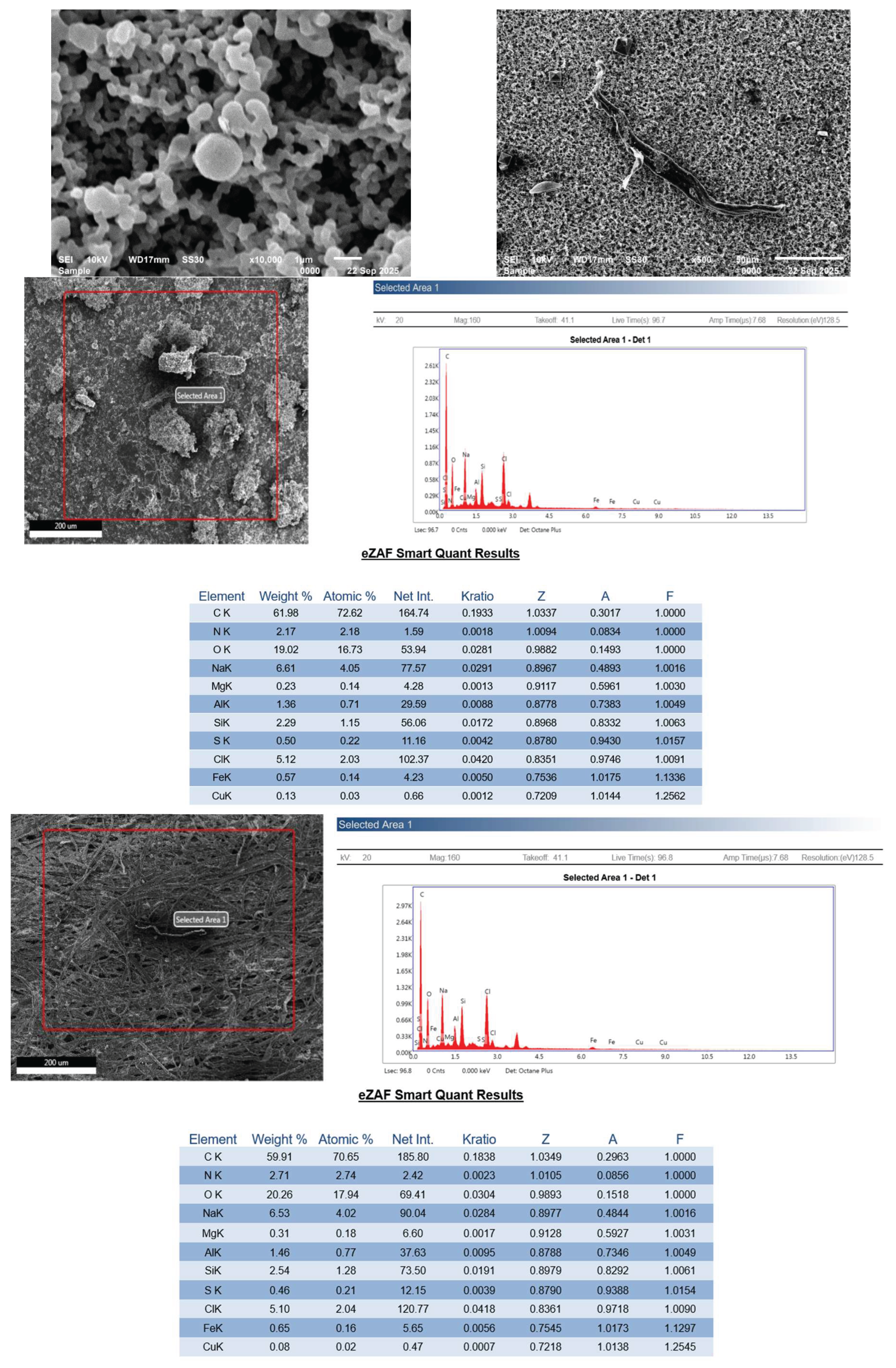 Preprints 212672 g005b
