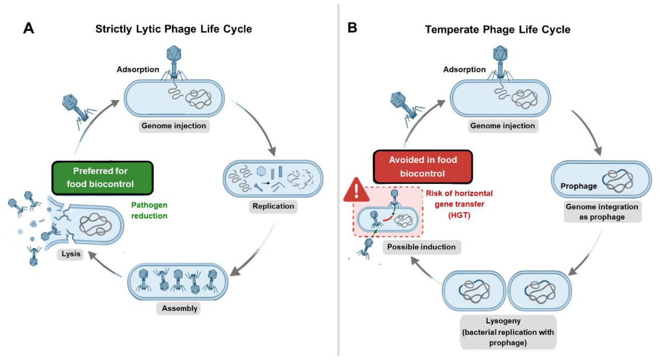 Preprints 216735 g002