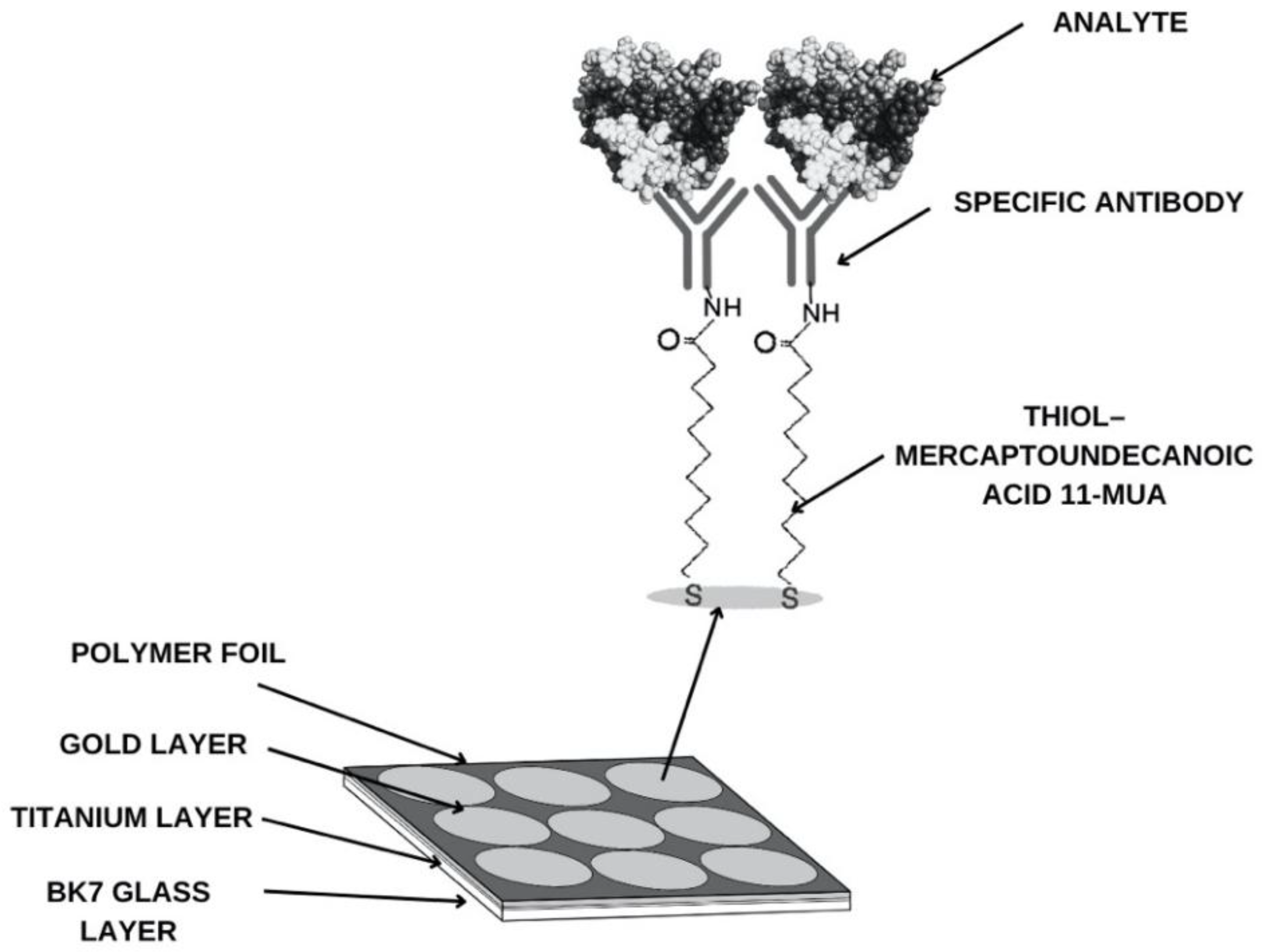 Preprints 190525 g002