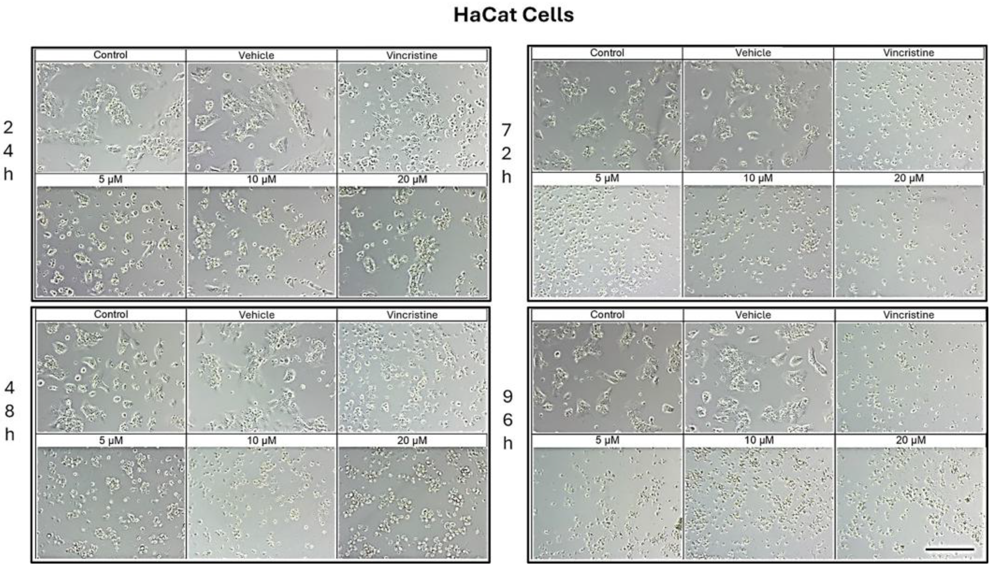 Preprints 167051 g001