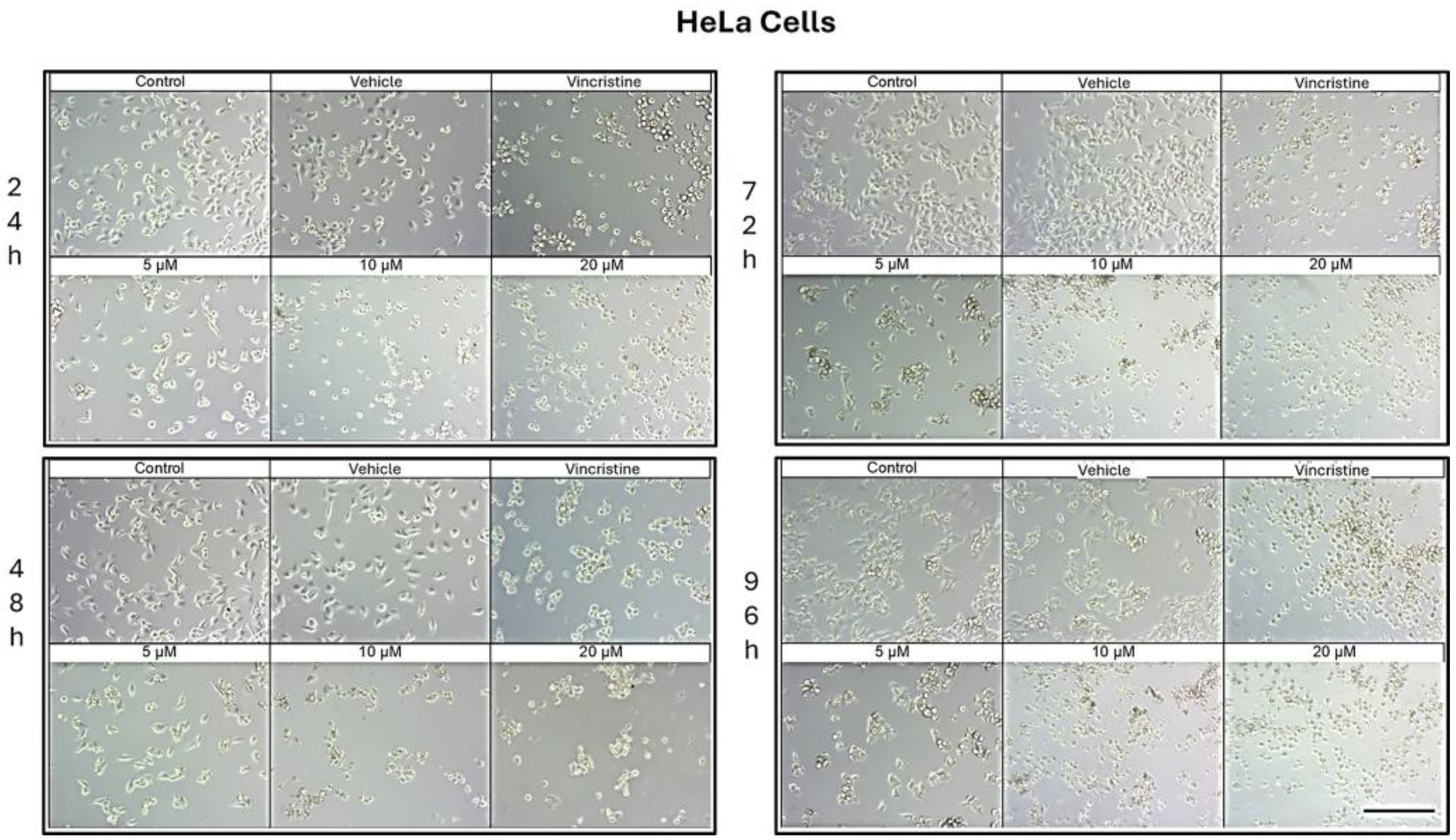 Preprints 167051 g002