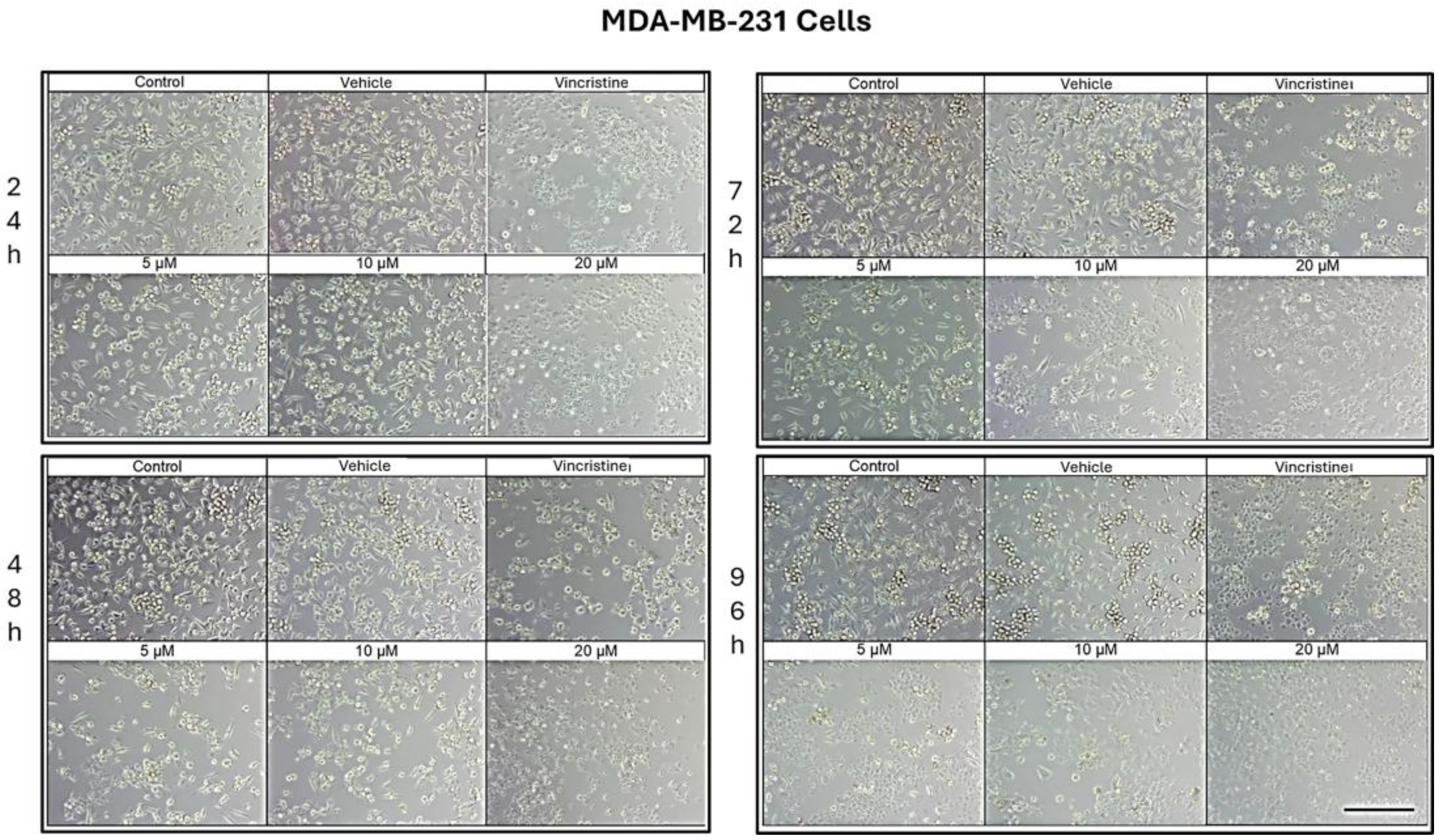 Preprints 167051 g003