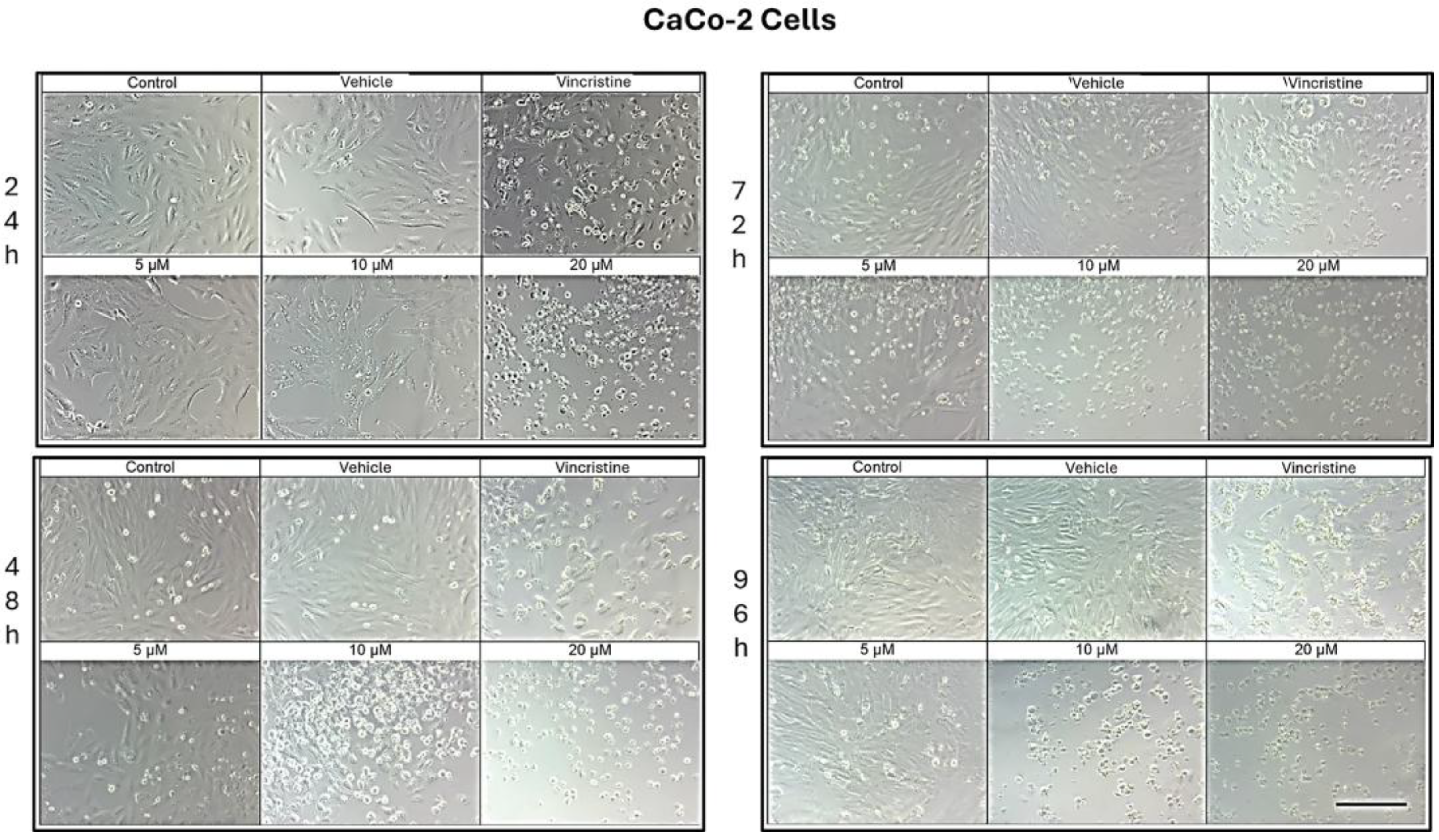 Preprints 167051 g004