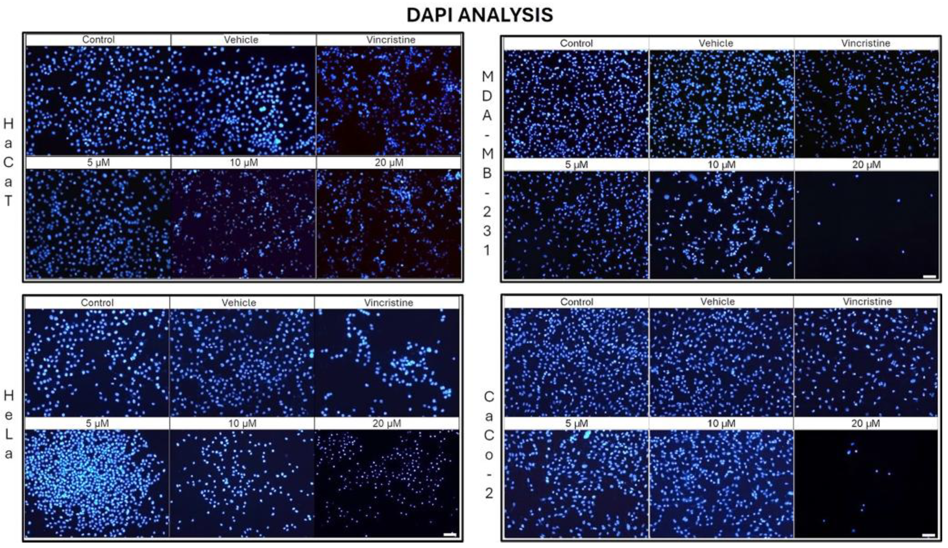 Preprints 167051 g005