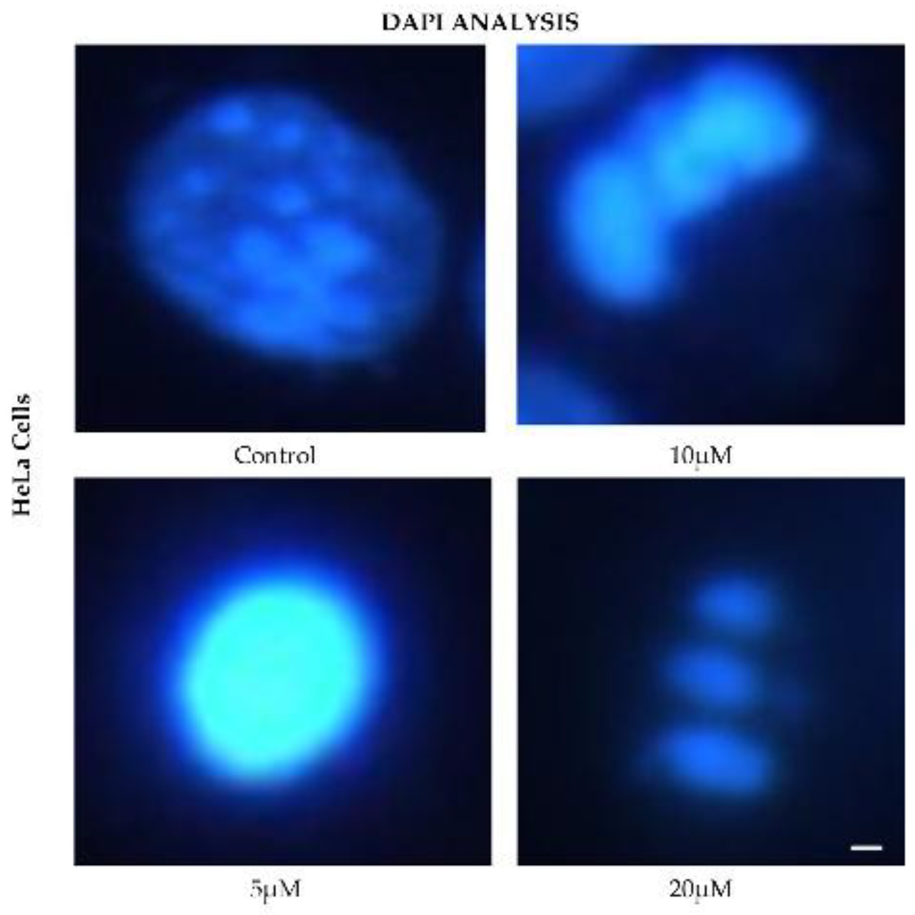 Preprints 167051 g006