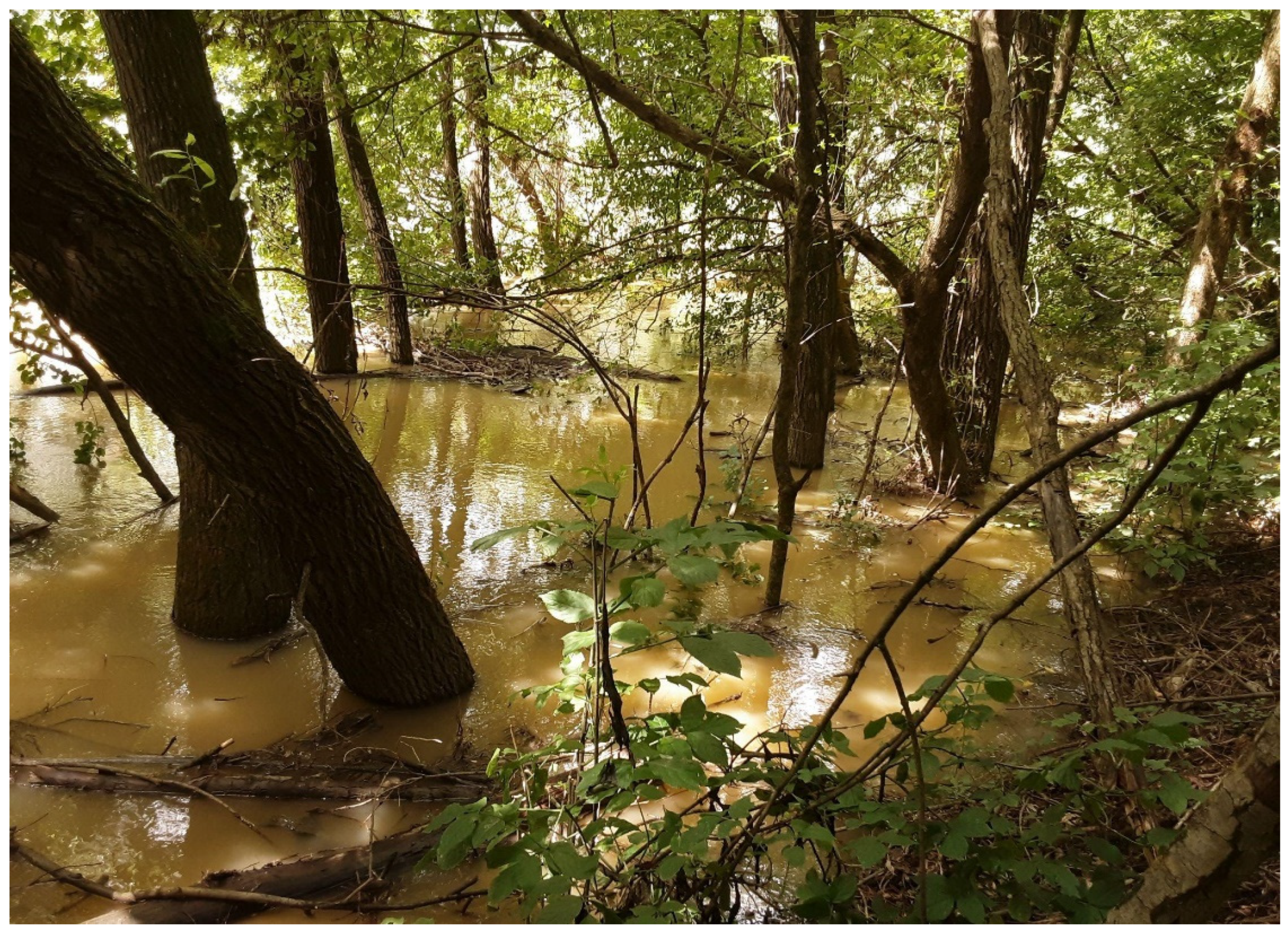 Preprints 83480 g007