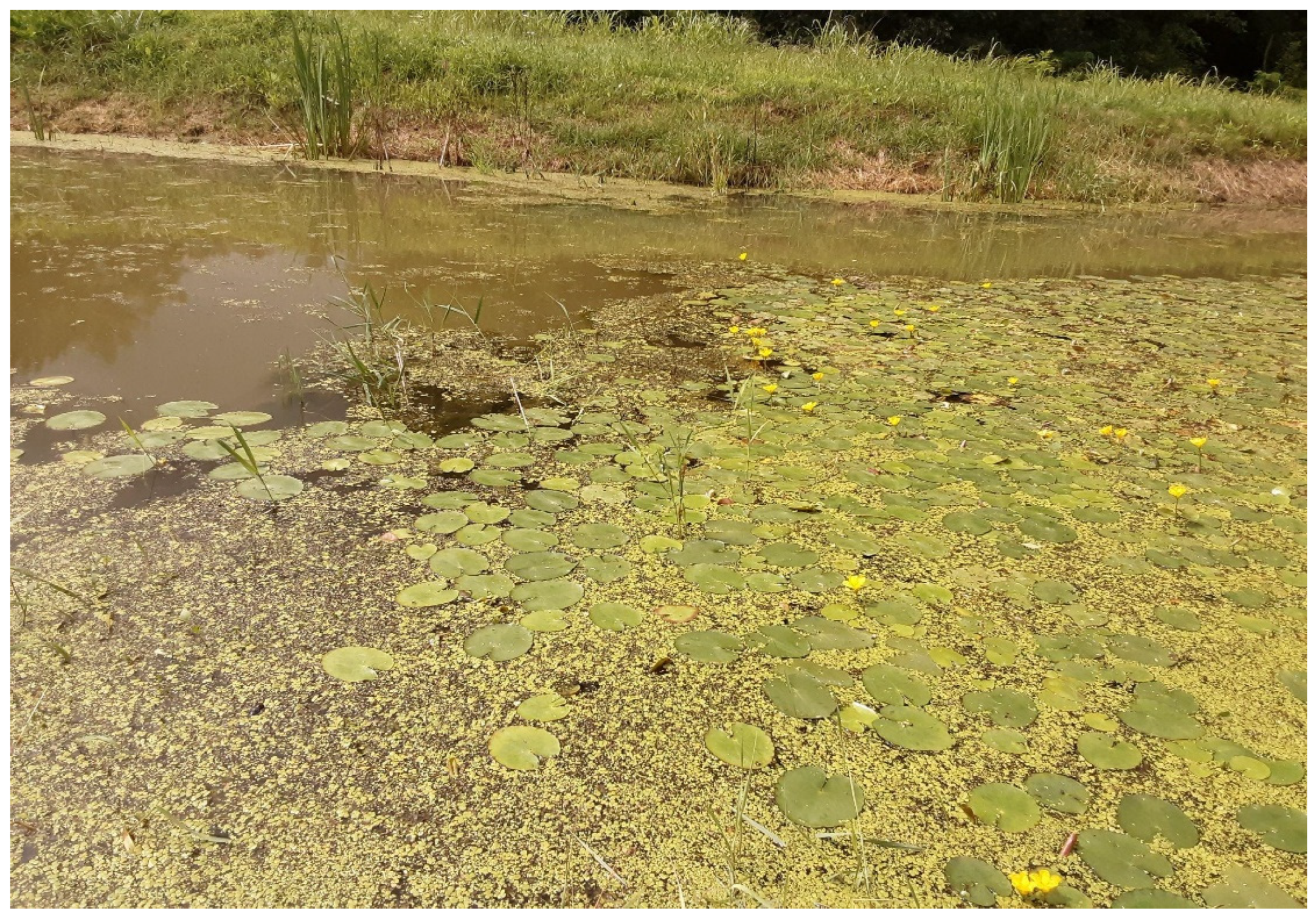 Preprints 83480 g008