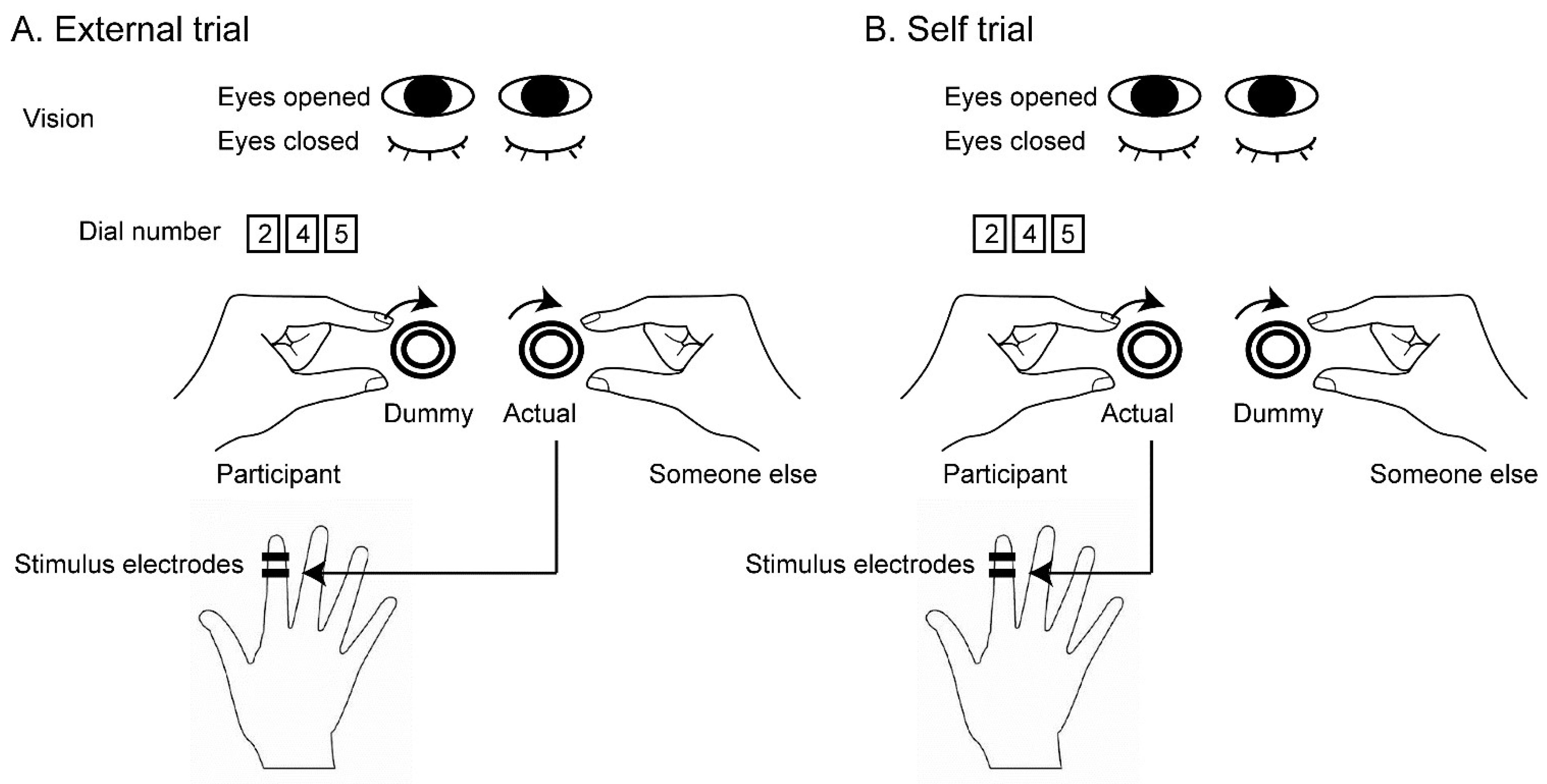 Preprints 143584 g001