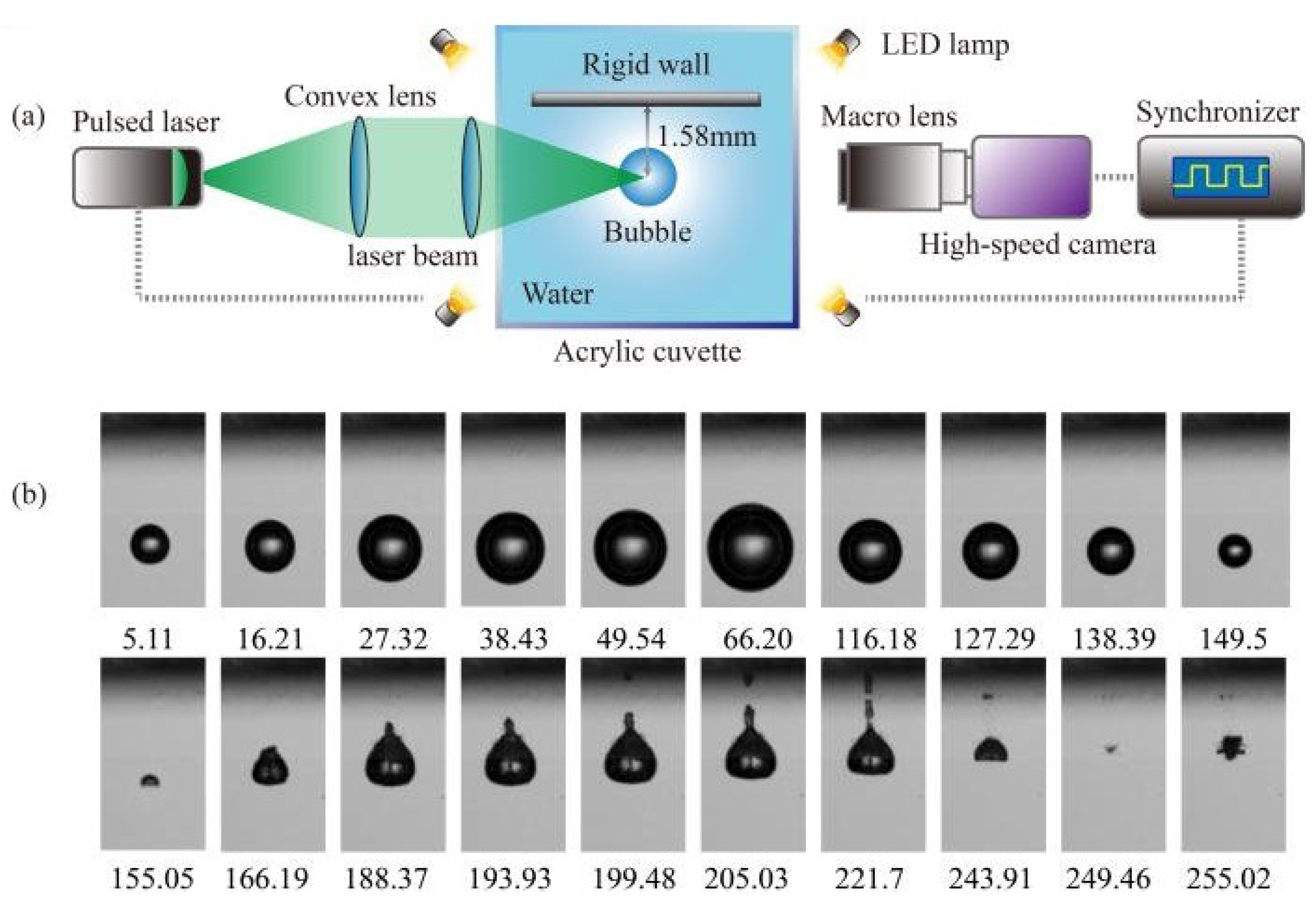 Preprints 170884 g001