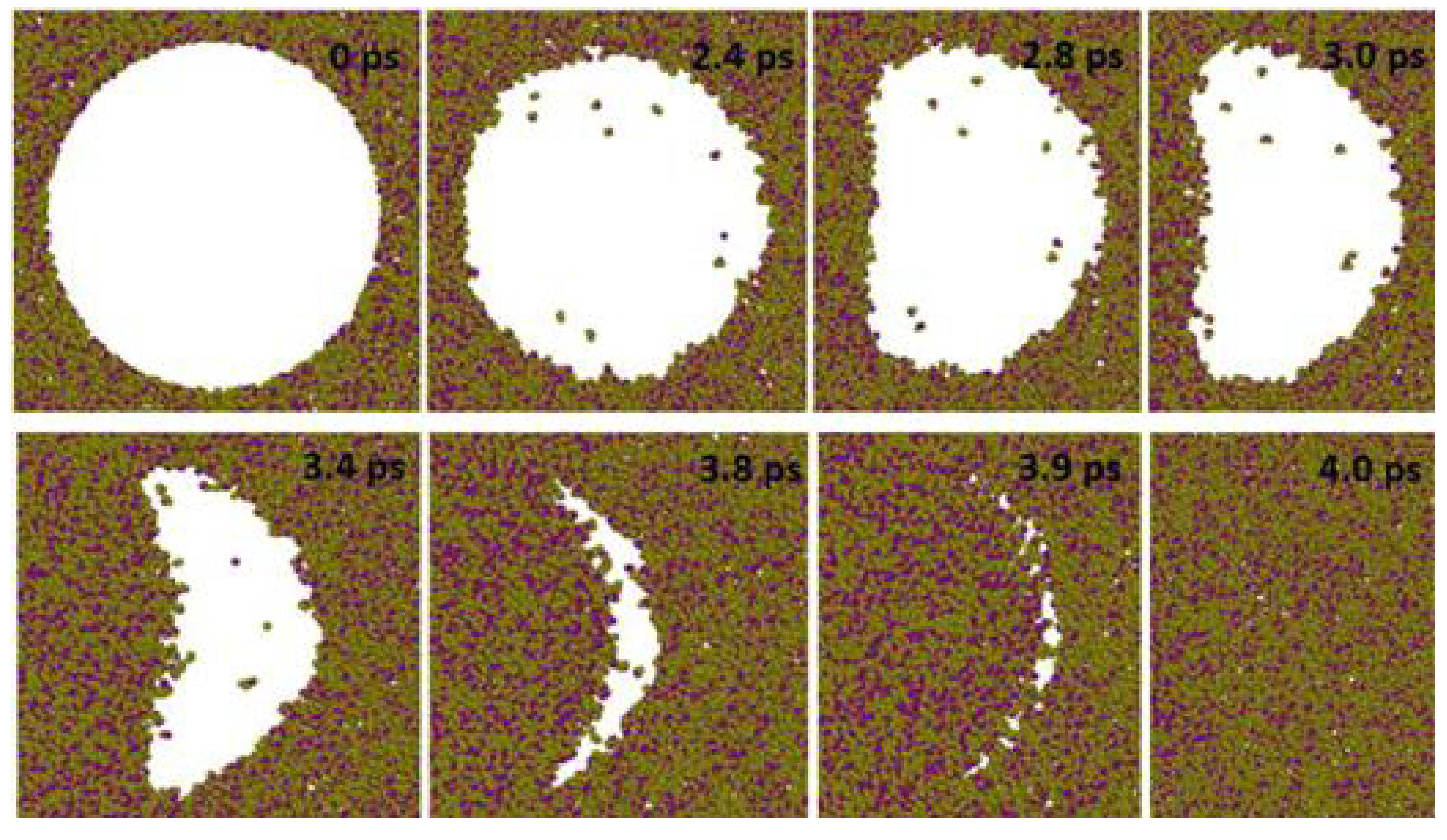 Preprints 170884 g003