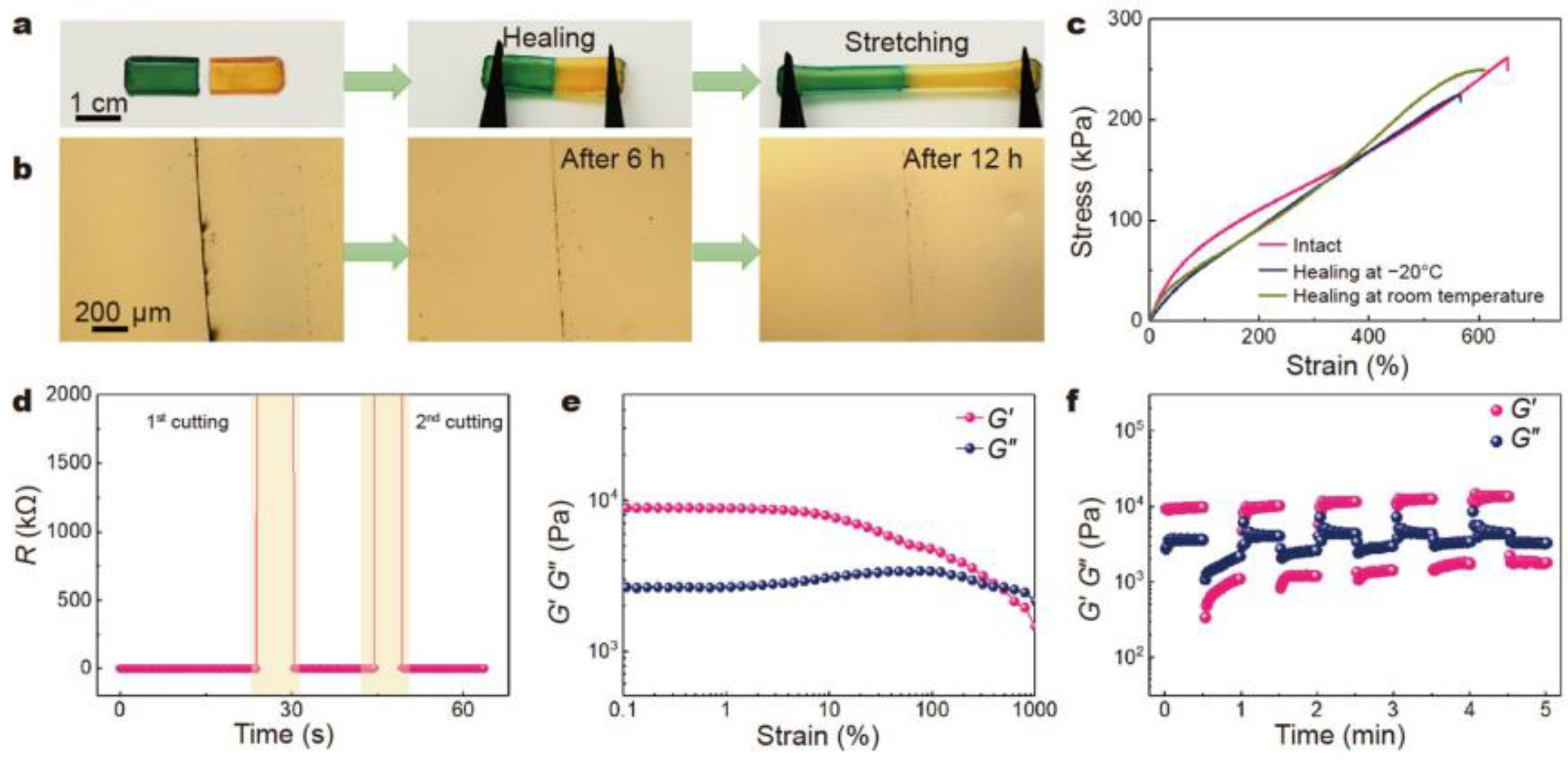 Preprints 183099 g001