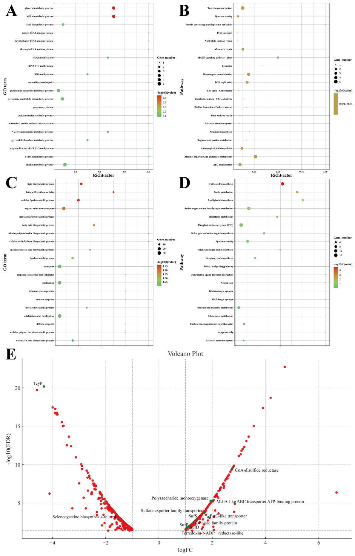 Preprints 216427 g007 Preprints 216427 g007