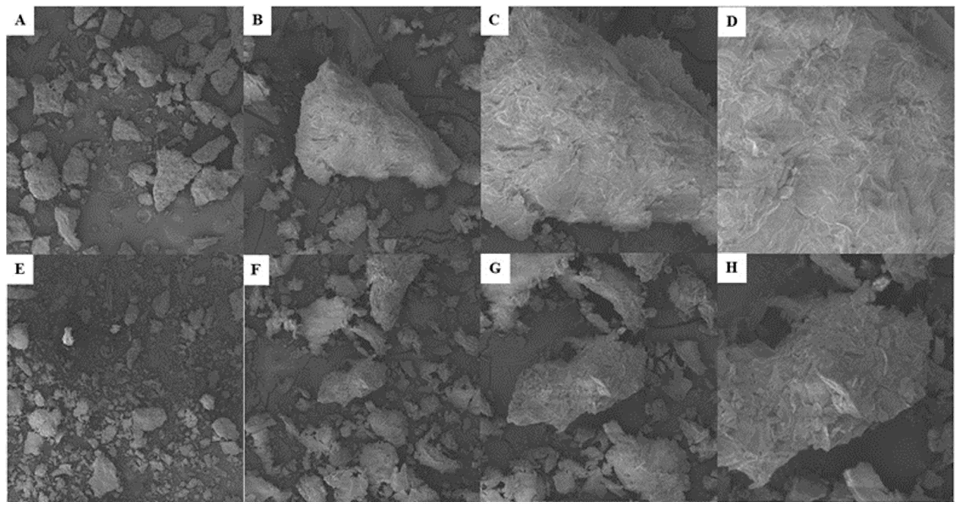 Preprints 116794 g002