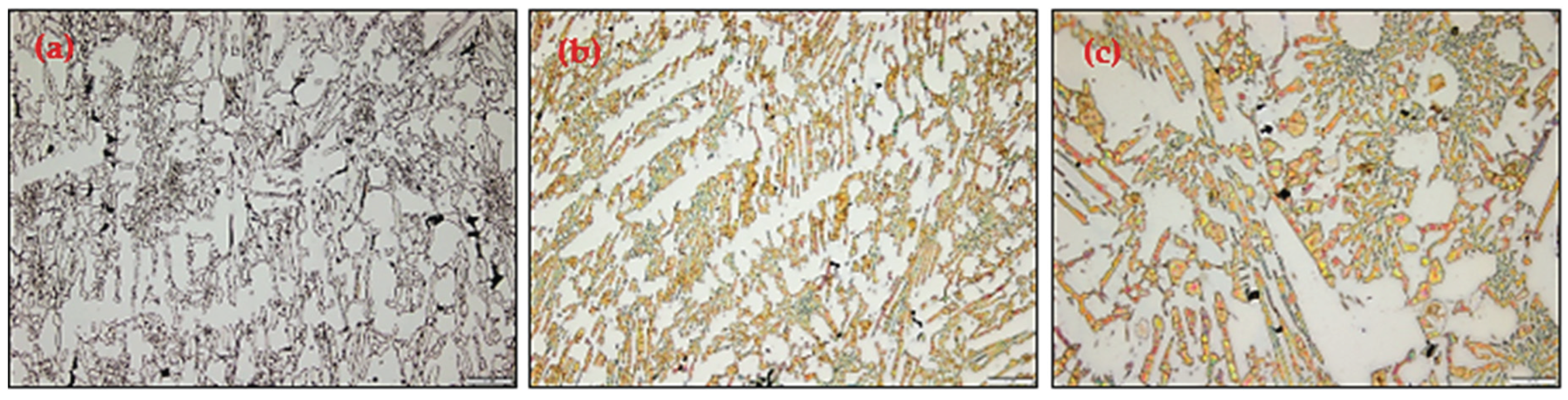 Preprints 164545 g004