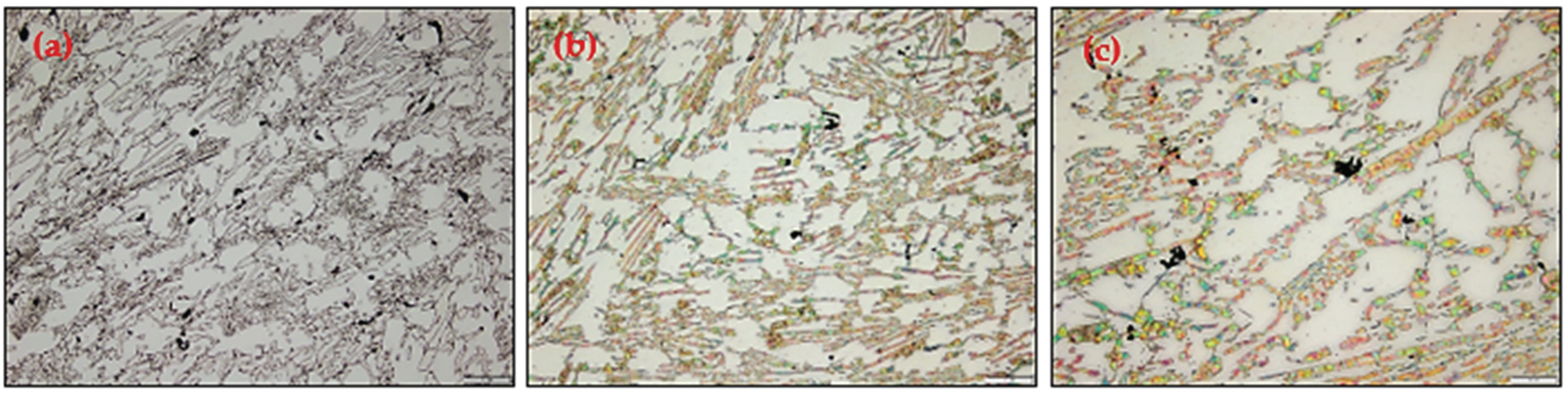 Preprints 164545 g005