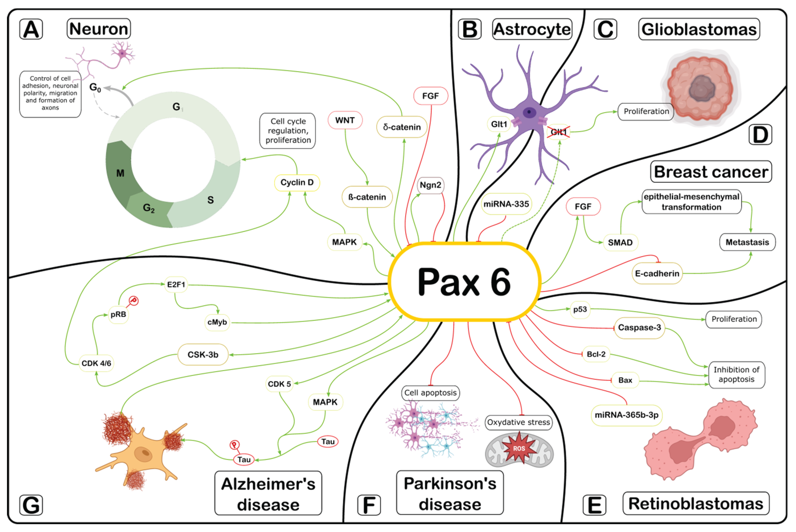 Preprints 182666 g001