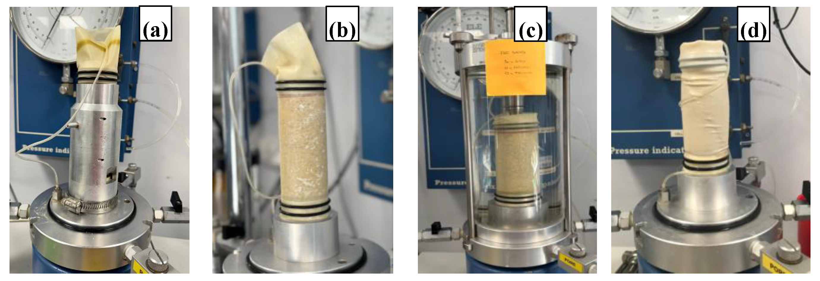 Preprints 158128 g004