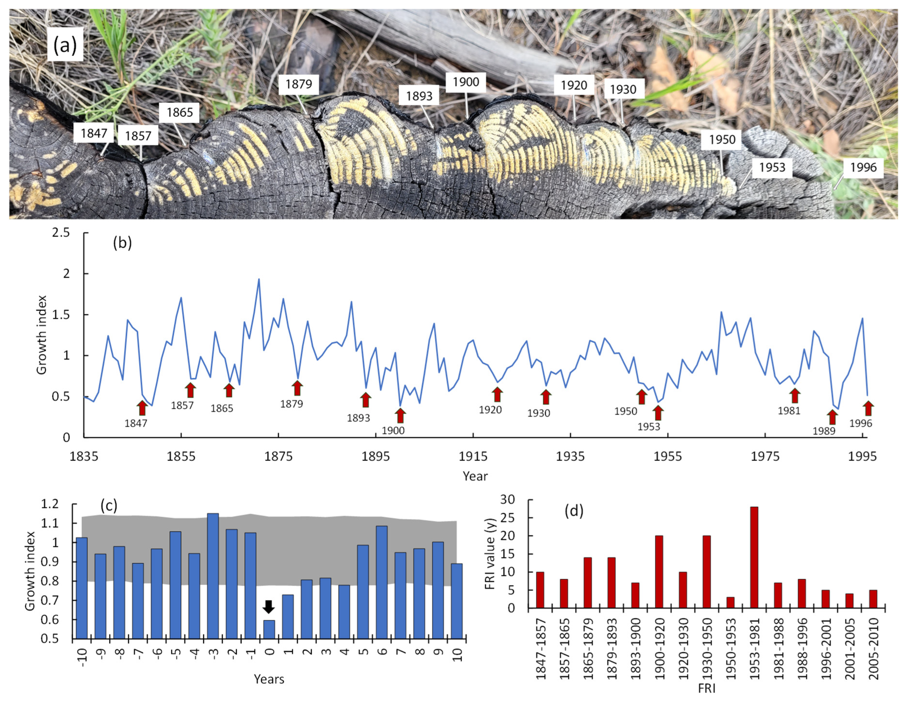 Preprints 153839 g013