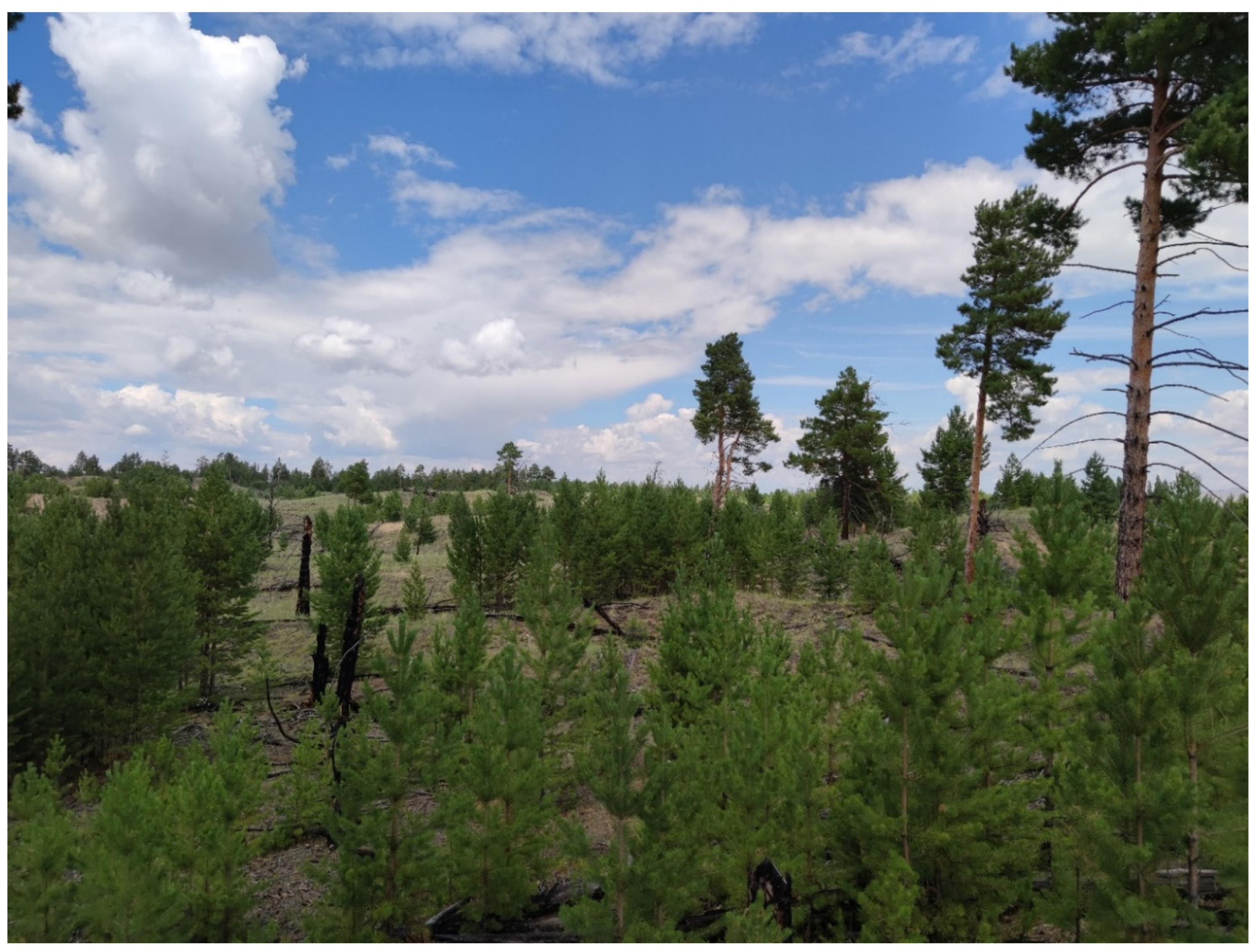 Preprints 153839 g014