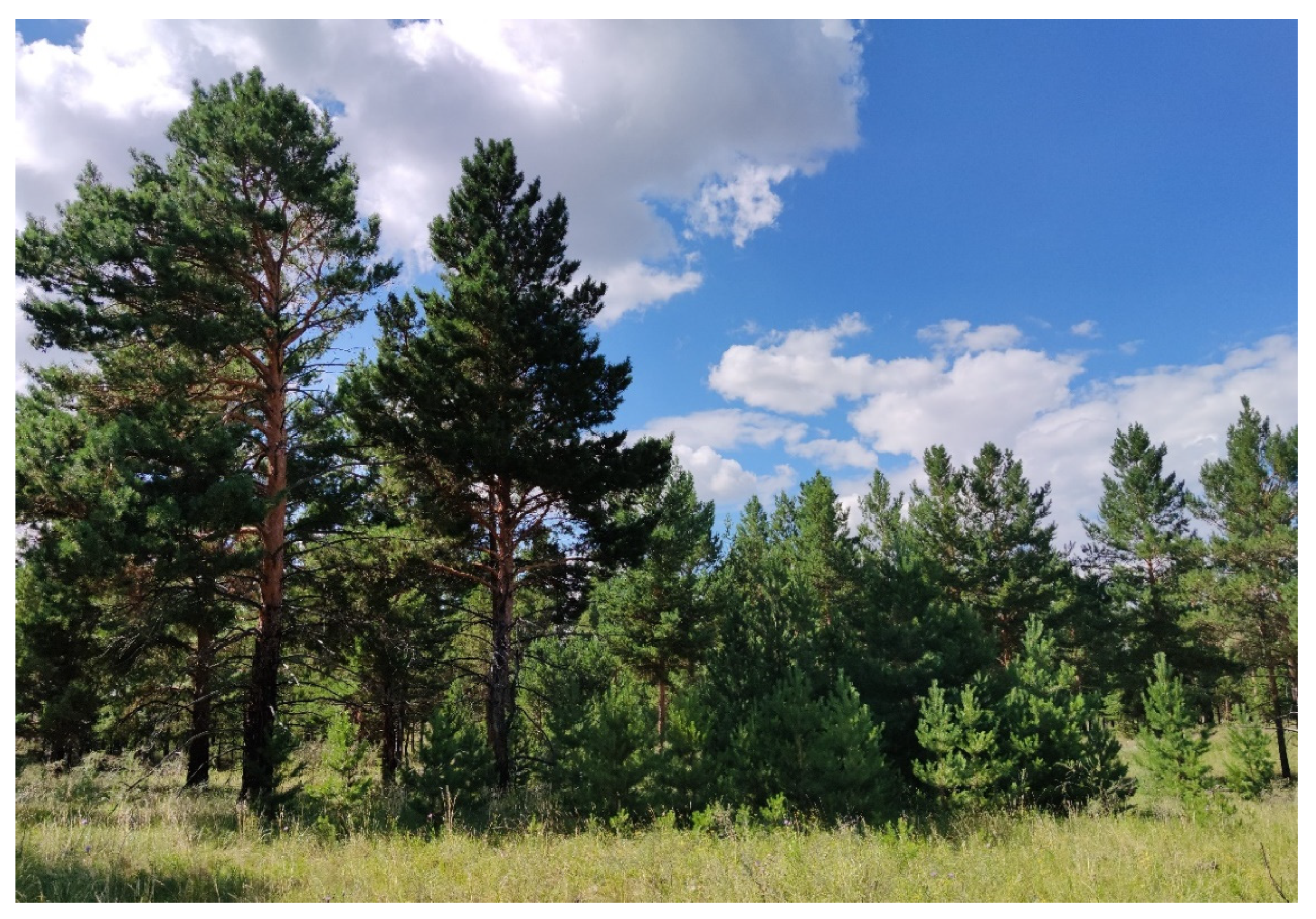 Preprints 153839 g0a2