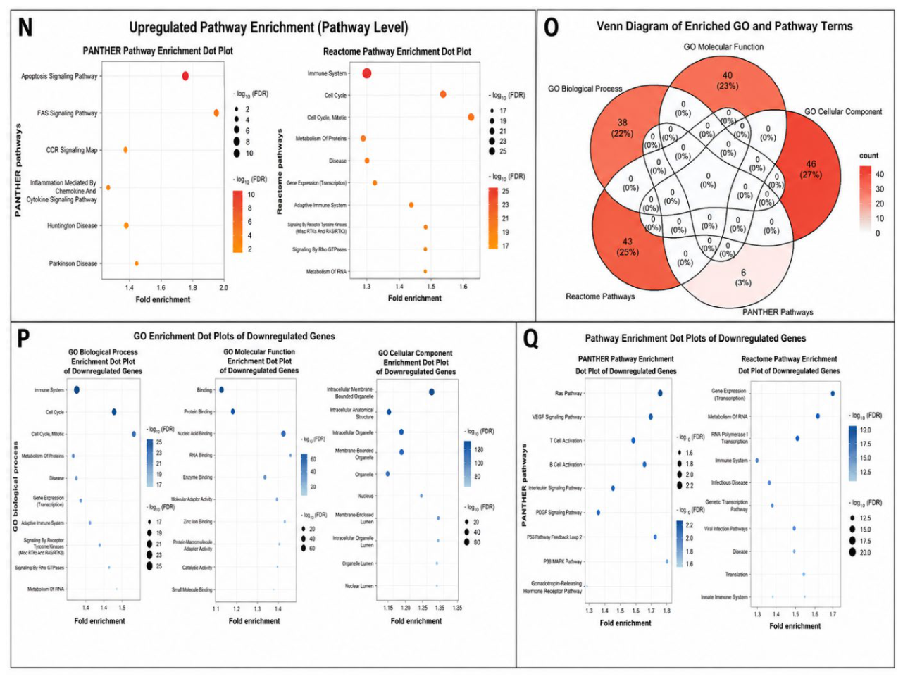 Preprints 235934 g004 Preprints 235934 g004