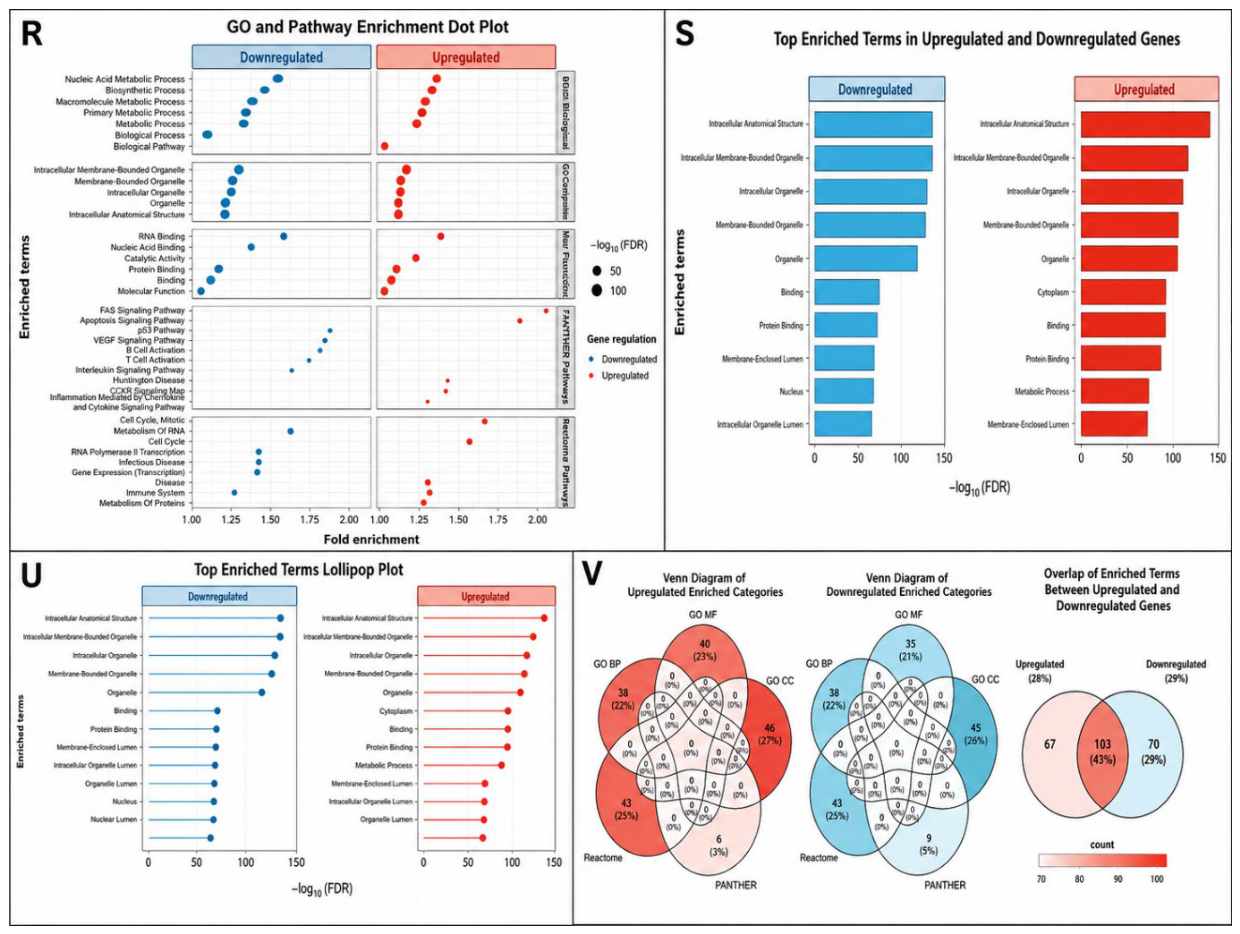 Preprints 235934 g005 Preprints 235934 g005