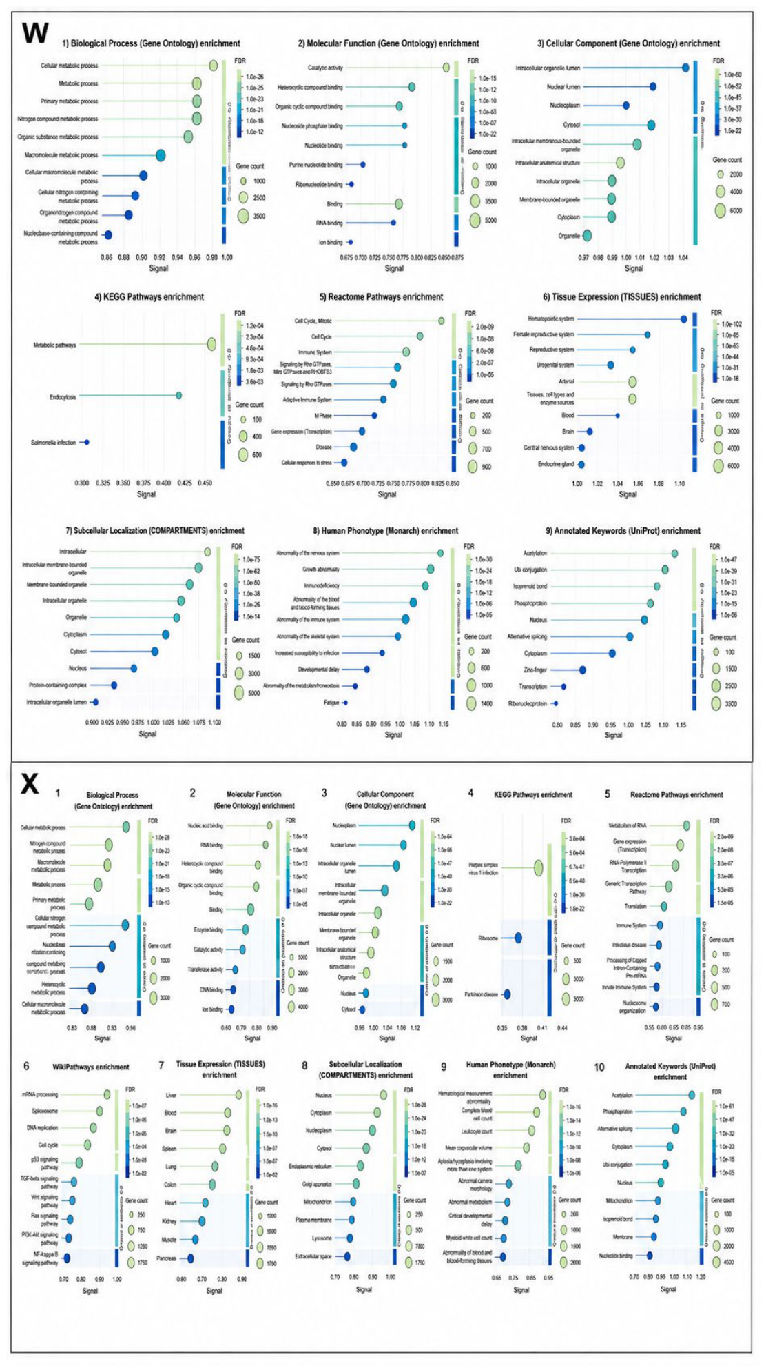 Preprints 235934 g007 Preprints 235934 g007