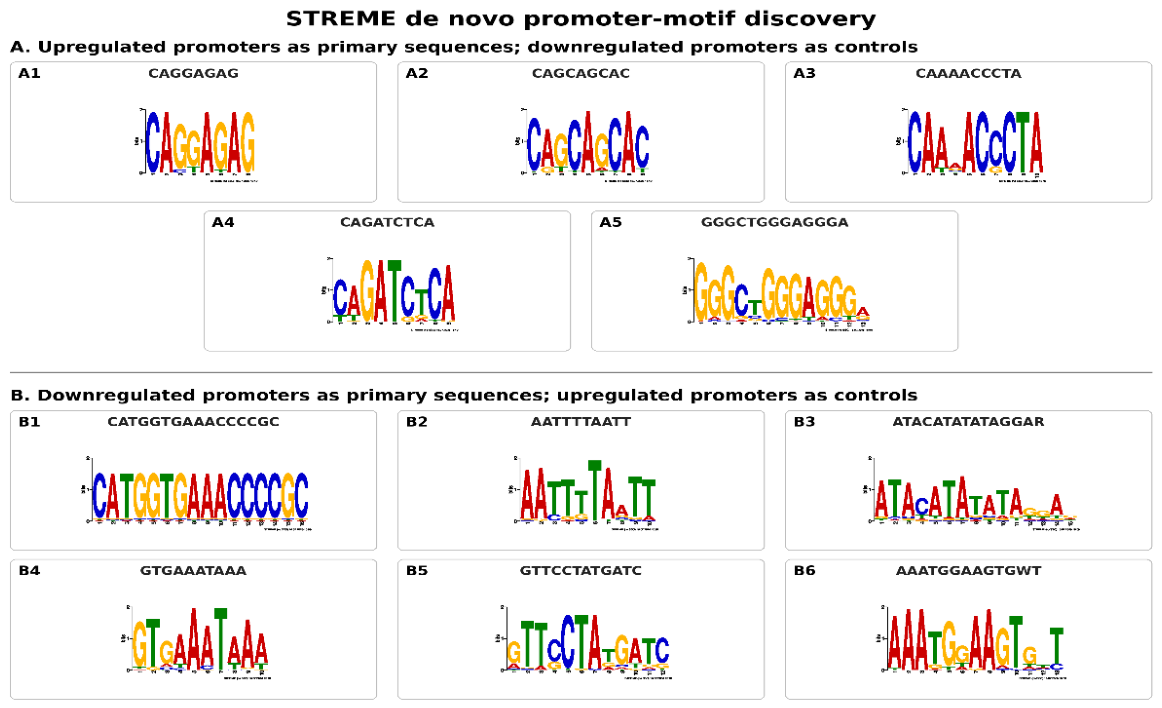 Preprints 235934 g015 Preprints 235934 g015