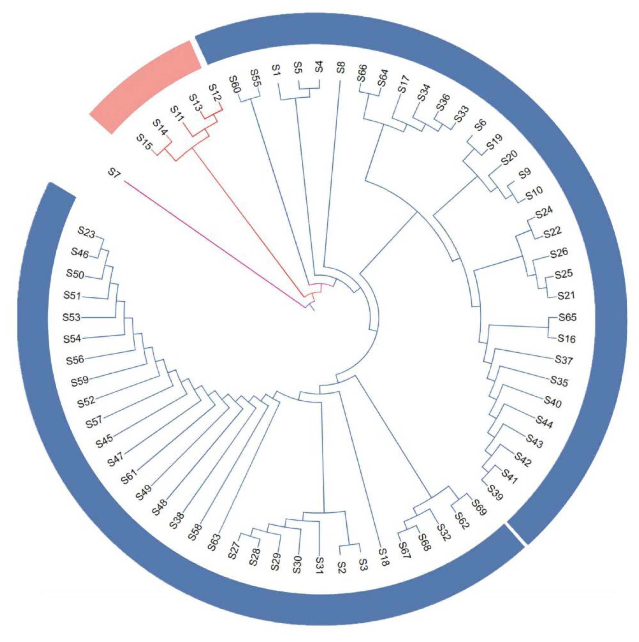 Preprints 201211 g001