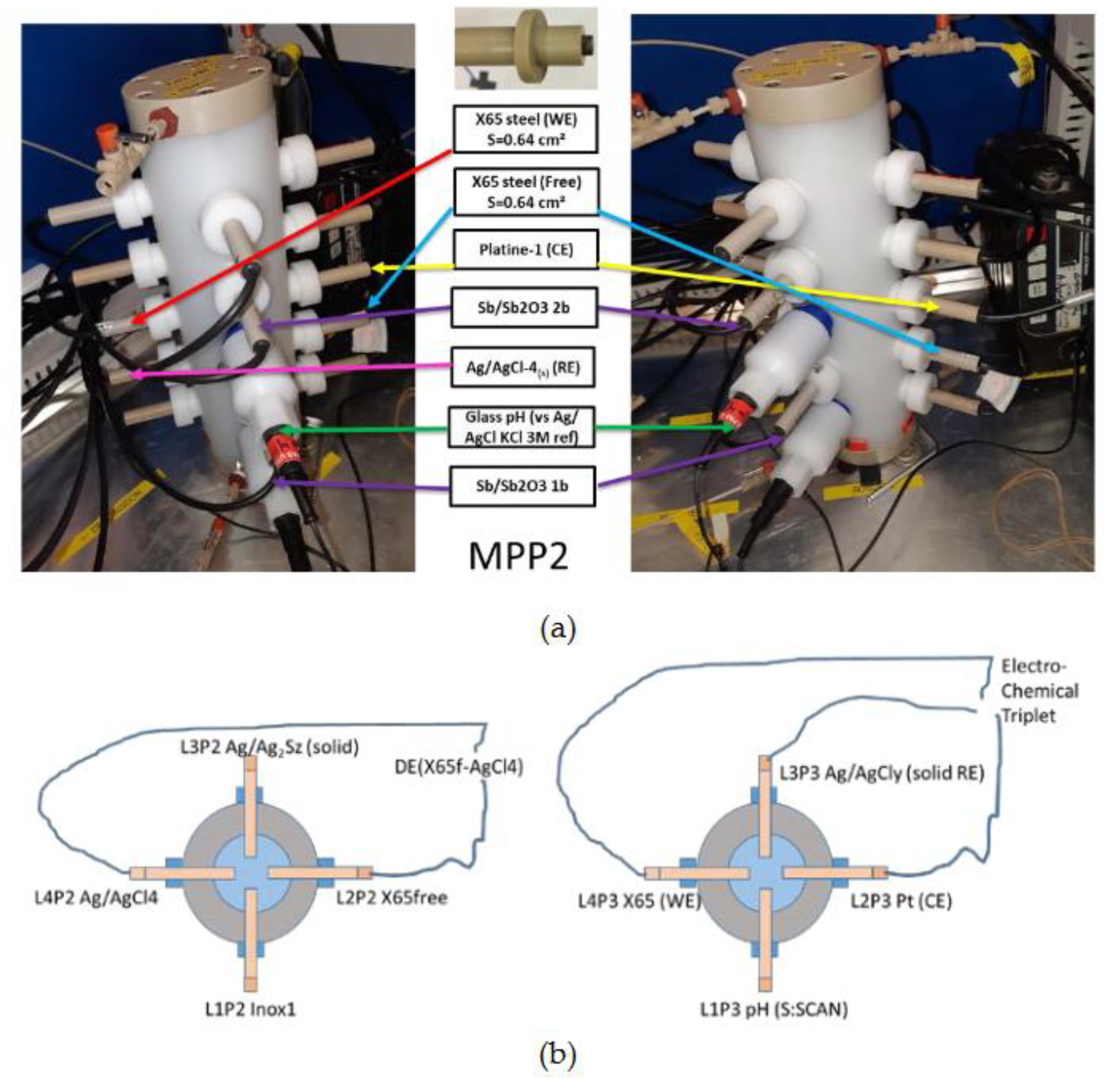 Preprints 70042 g004