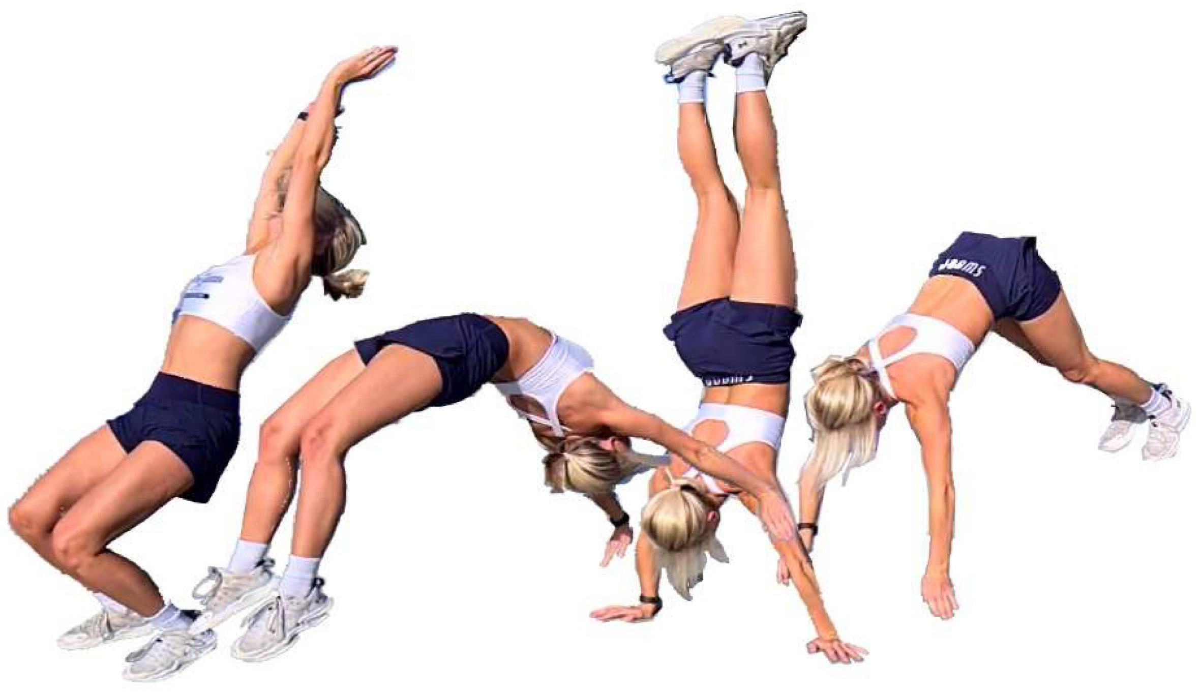 Preprints 149637 g001