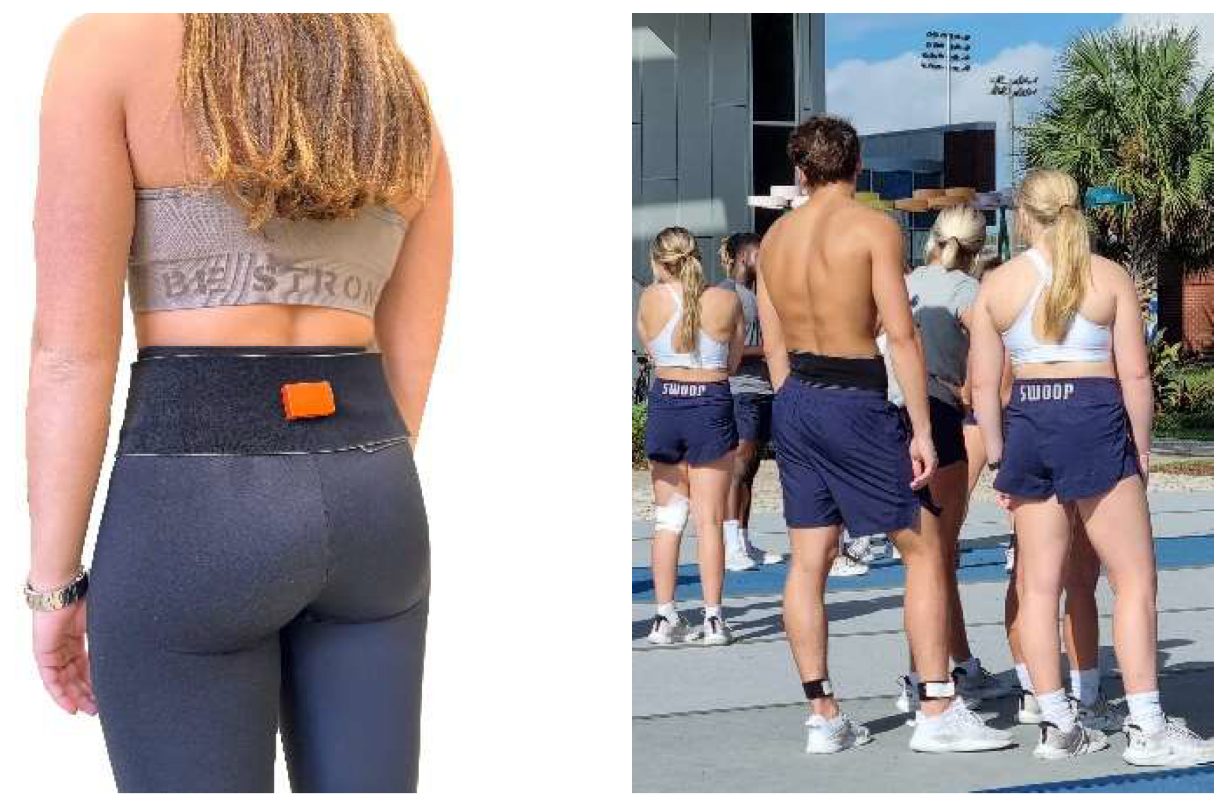 Preprints 149637 g003