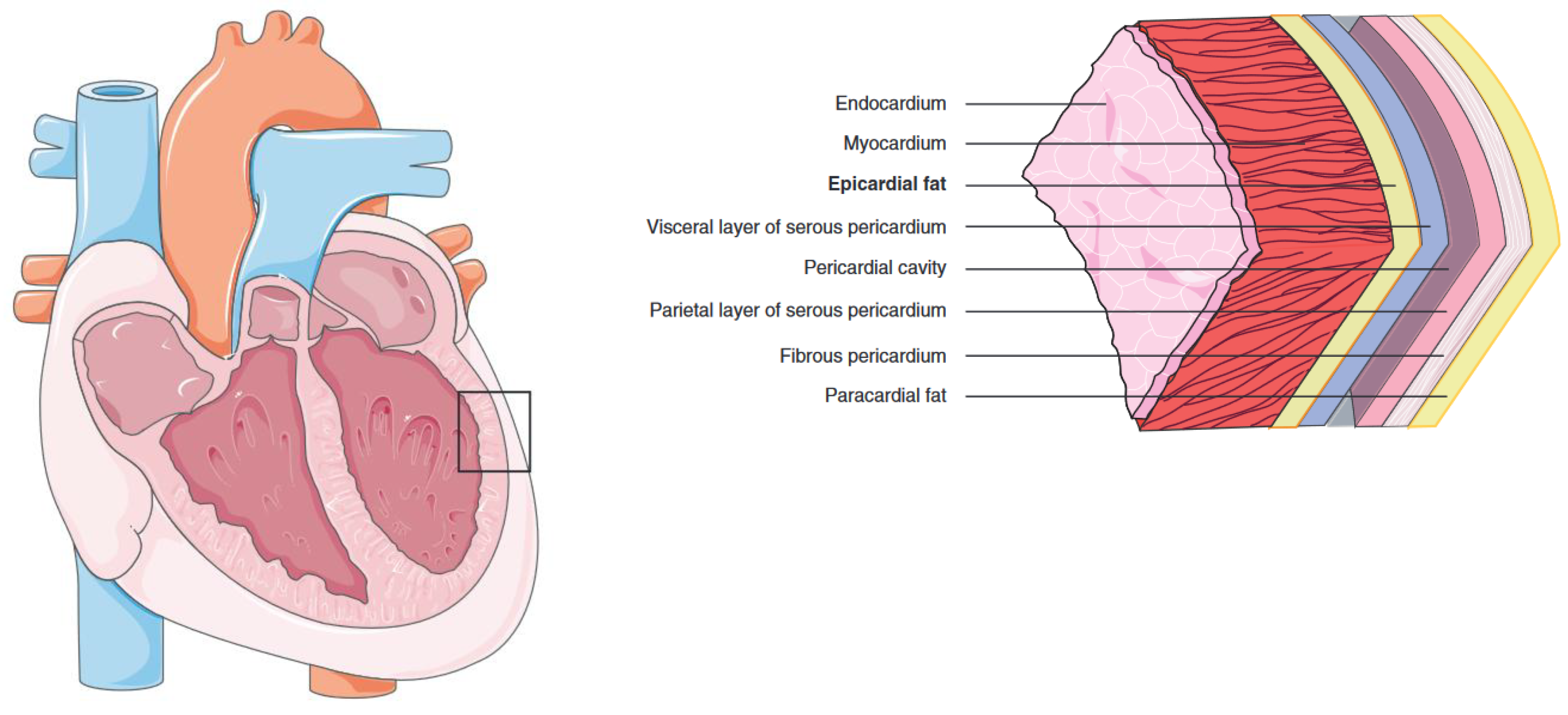 Preprints 152516 g002
