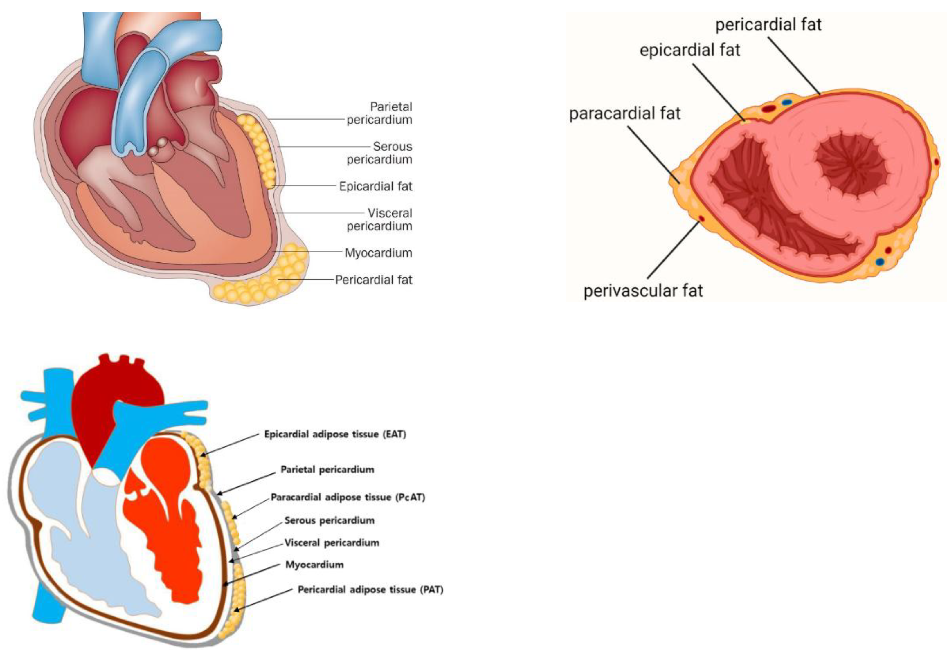 Preprints 152516 g003