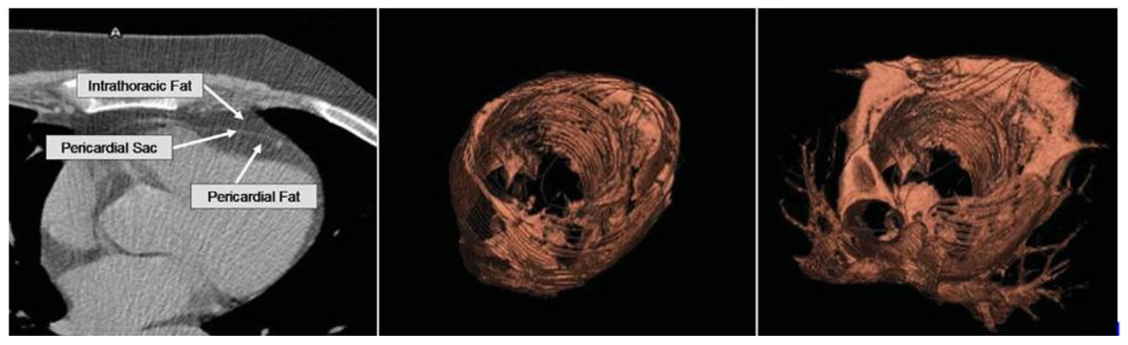 Preprints 152516 g004