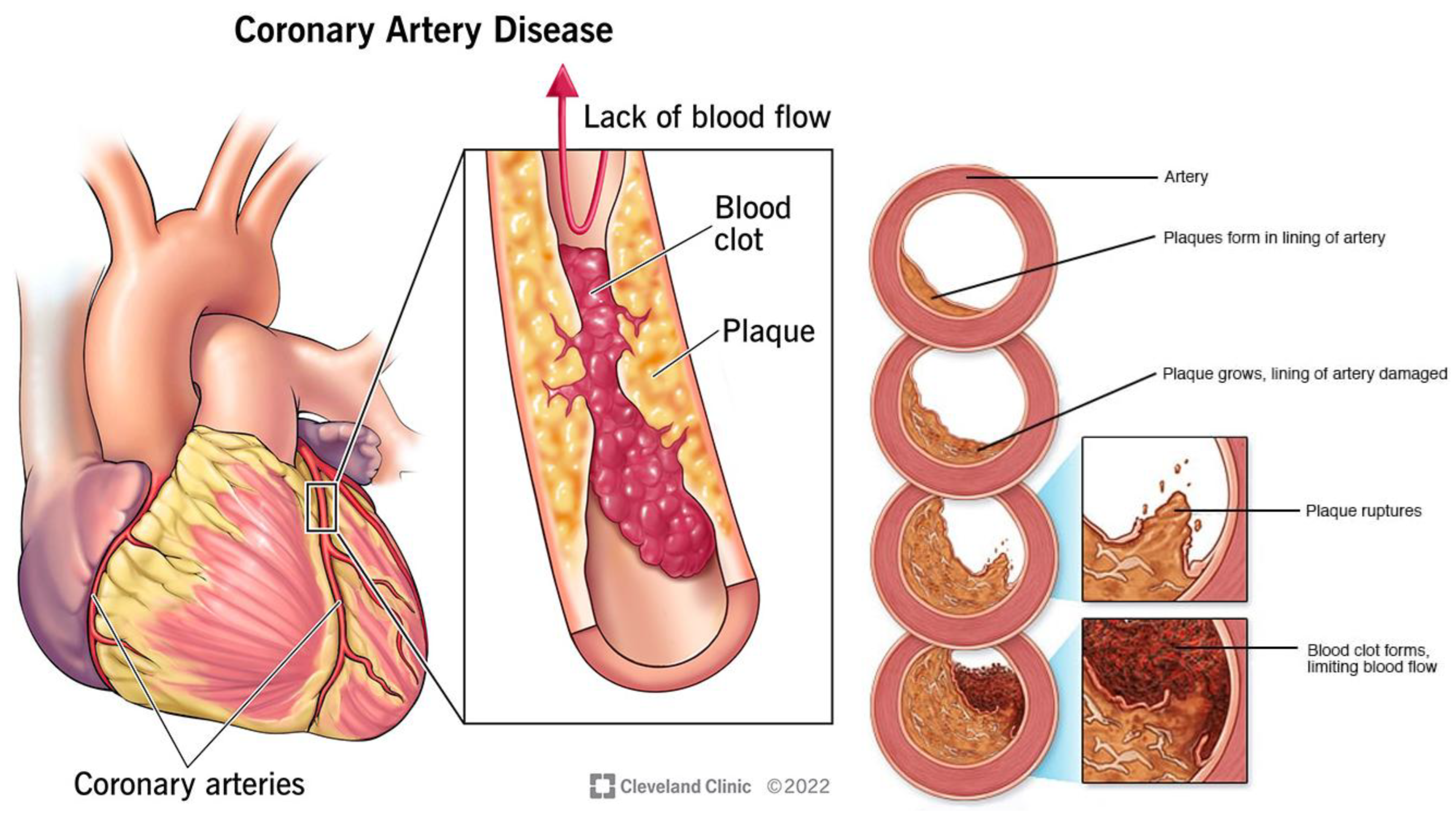 Preprints 152516 g006