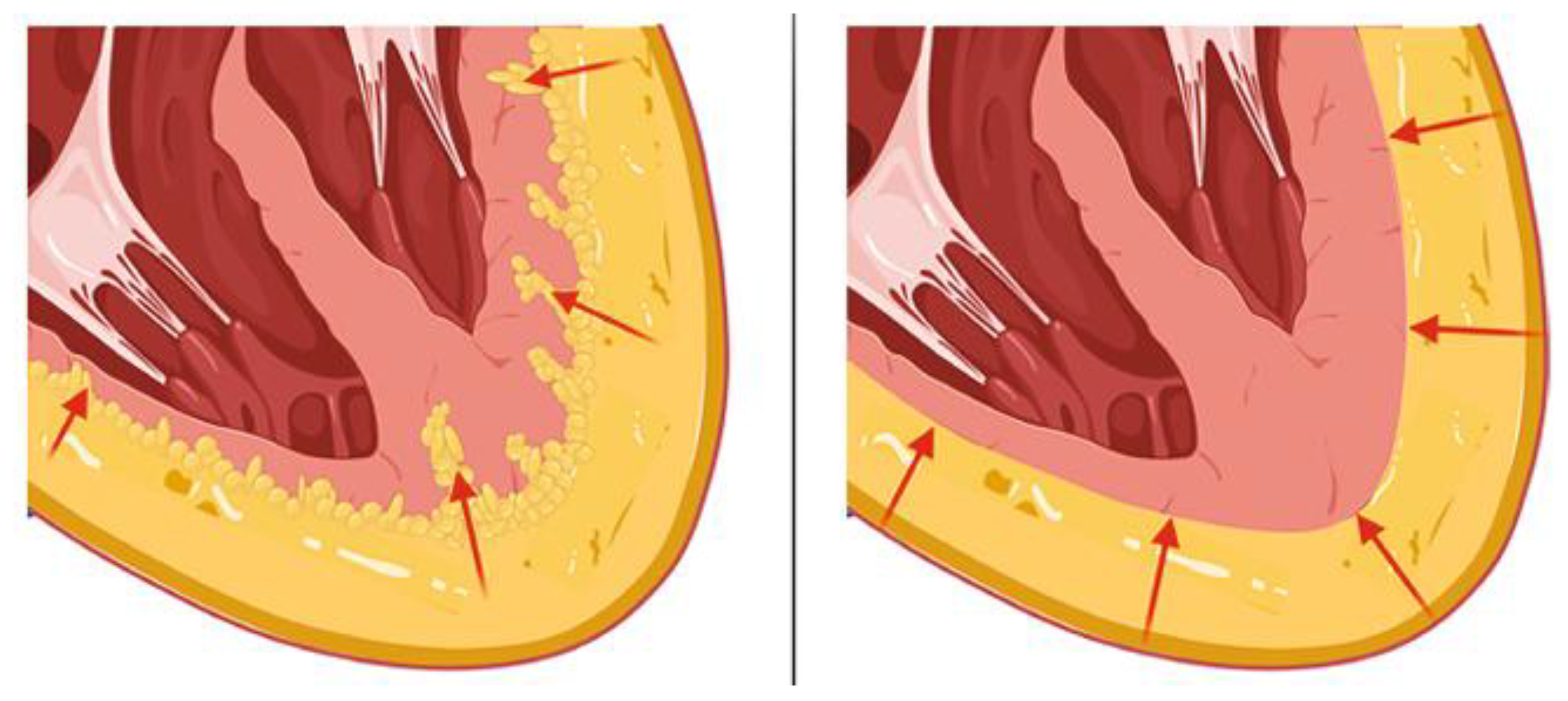 Preprints 152516 g007