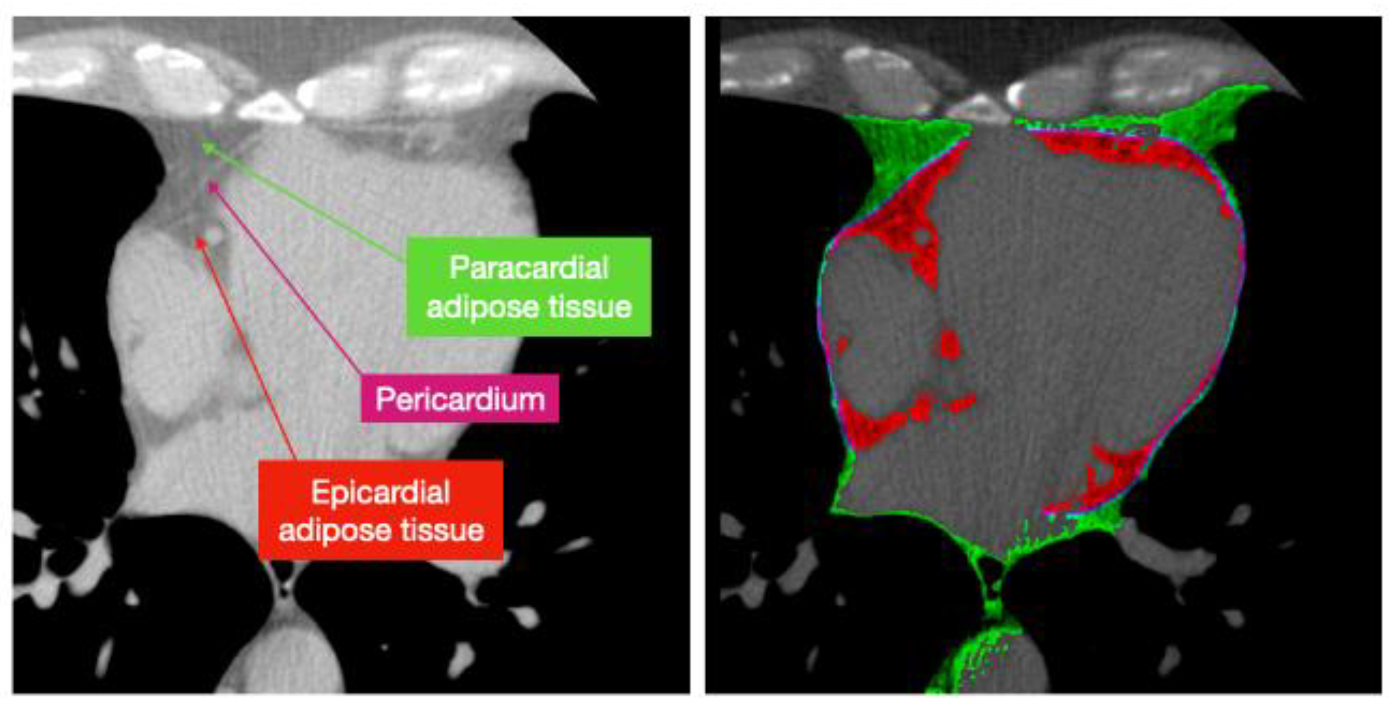 Preprints 152516 g010