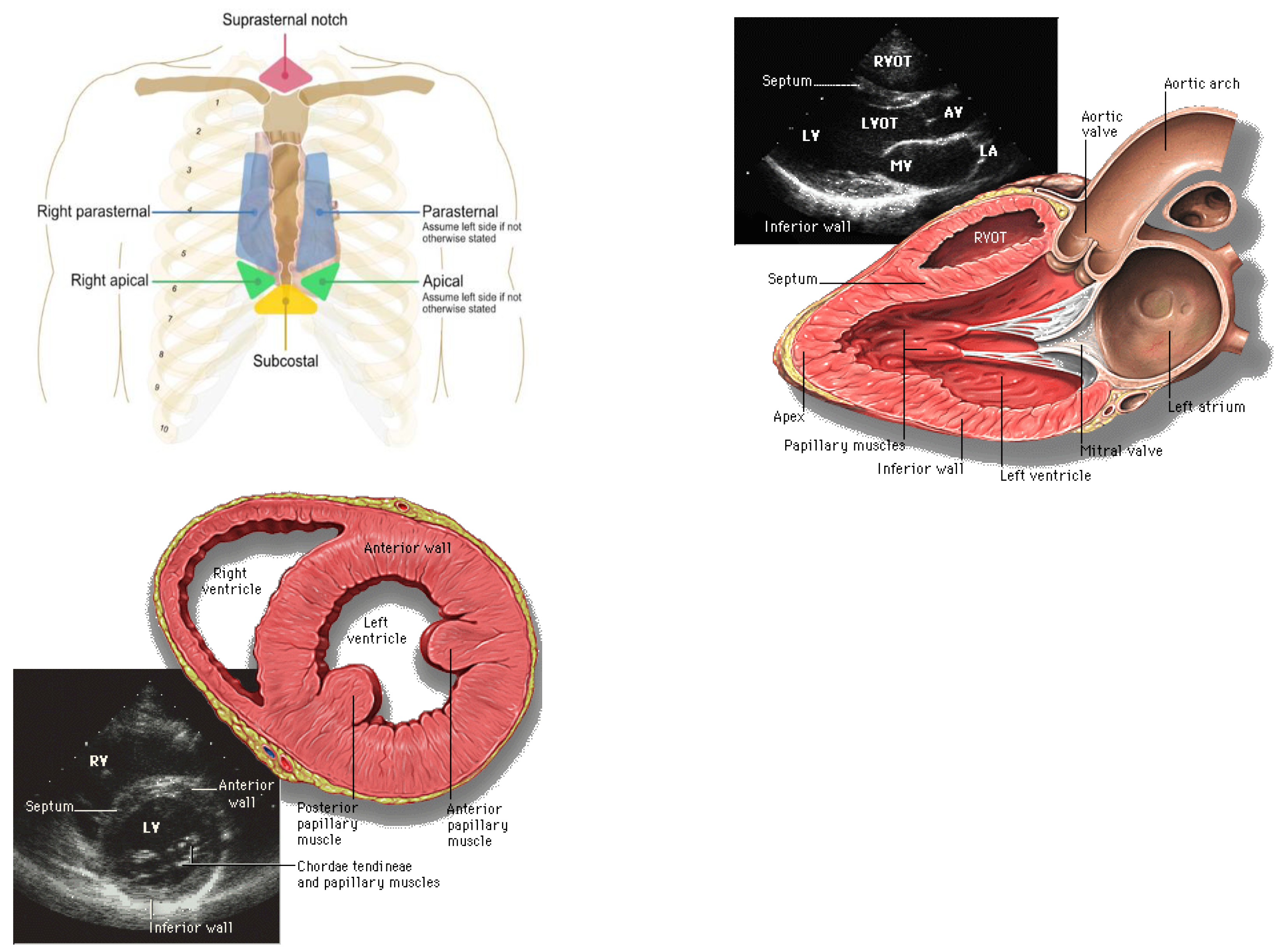 Preprints 152516 g012a