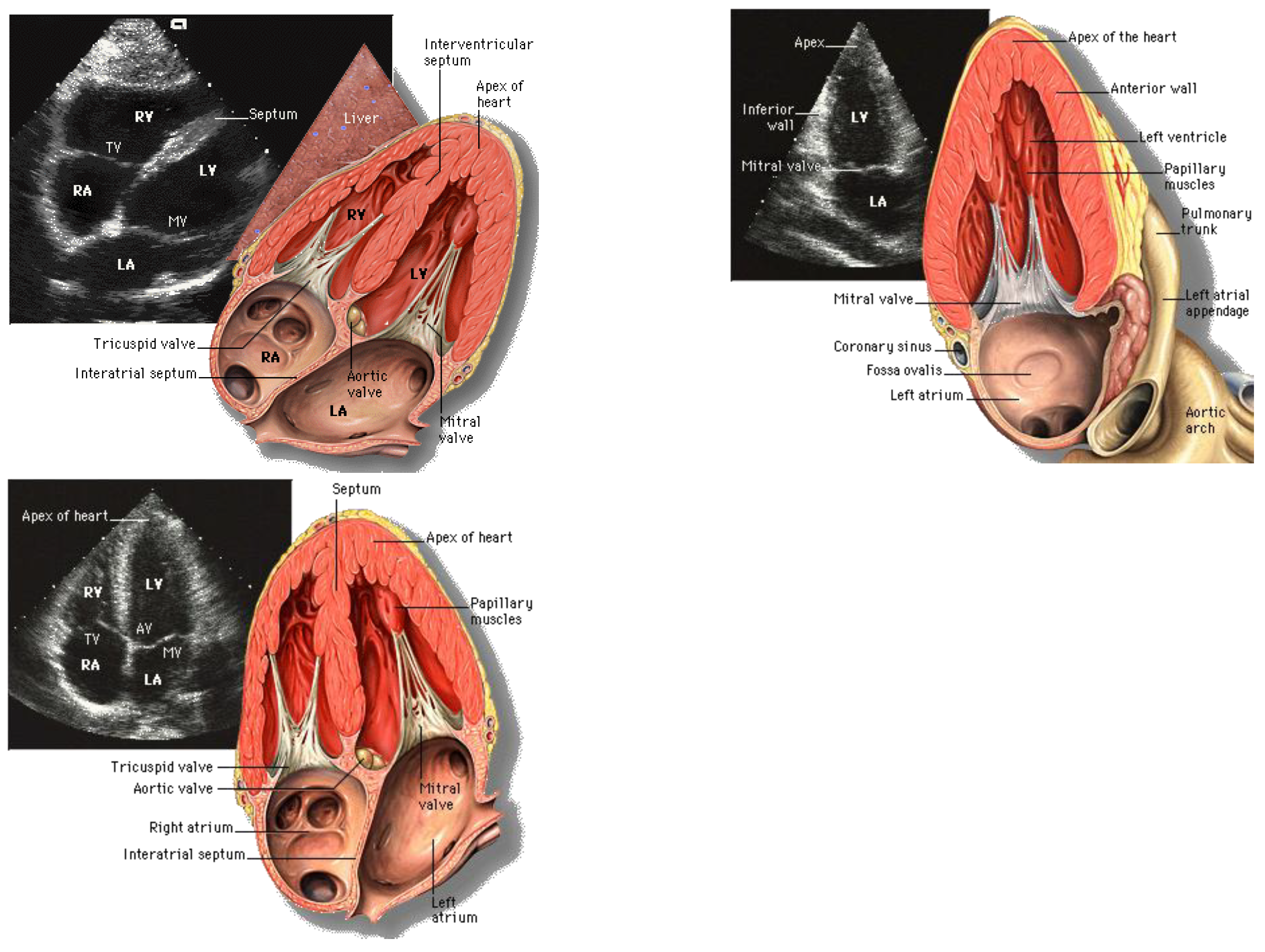 Preprints 152516 g012b