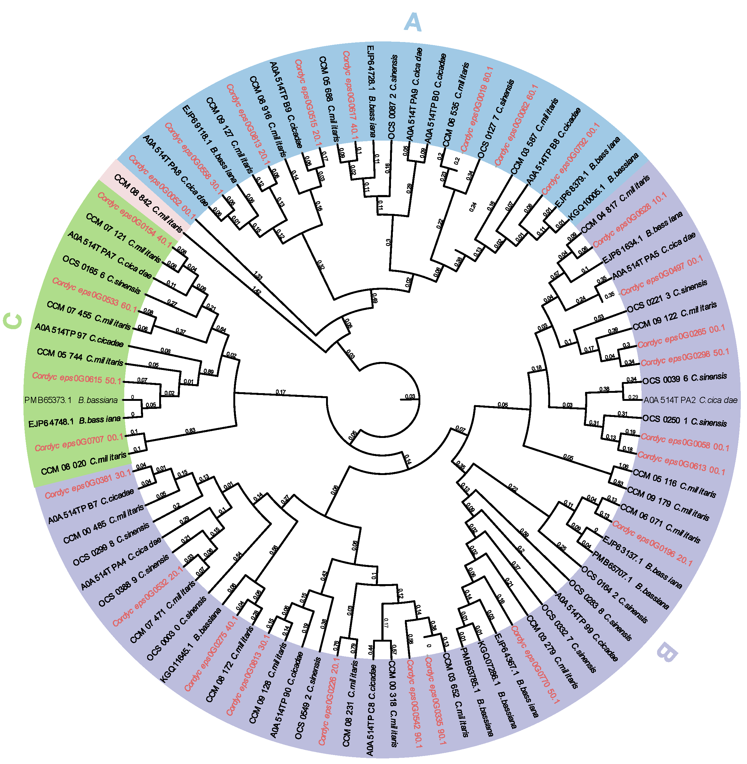 Preprints 147427 g005
