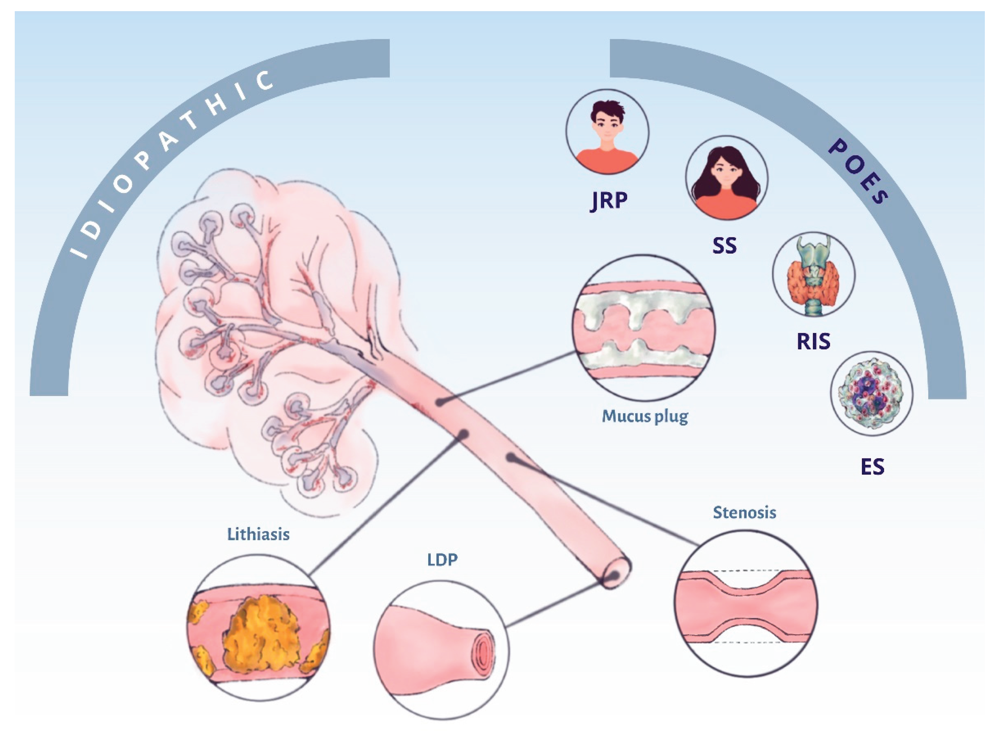 Preprints 178727 g001