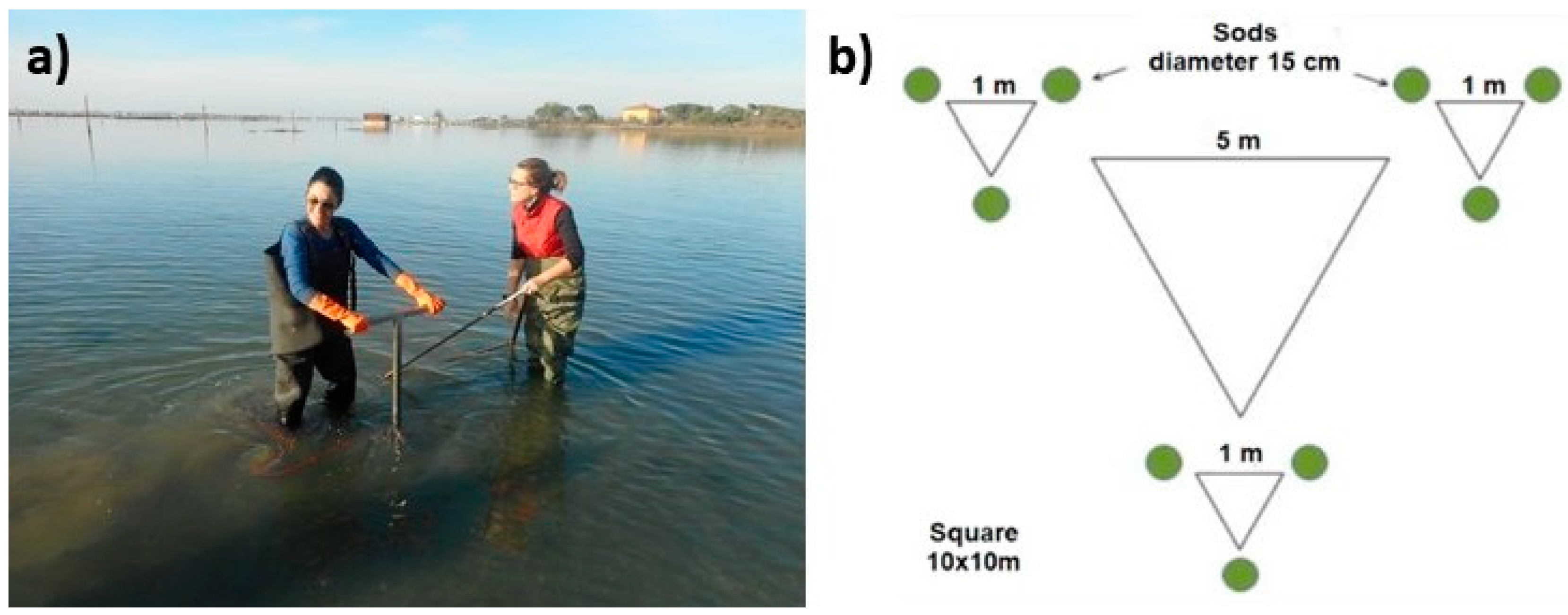 Preprints 144706 g002